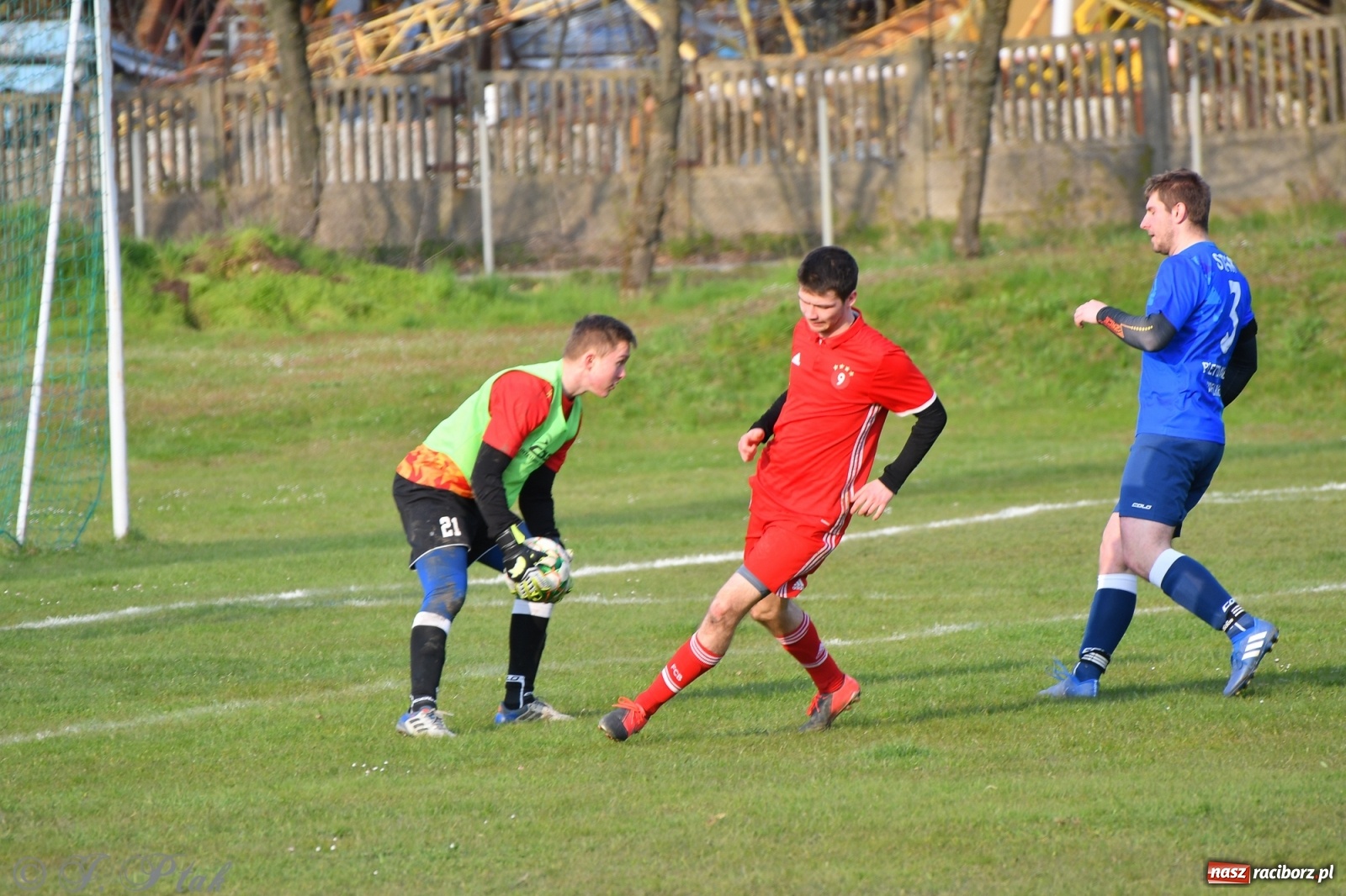 Zdjęcie w galerii na portalu naszraciborz.pl: Lider z Raszczyc mocniejszy od Pietrowic Wielkich wiadomości z regionu