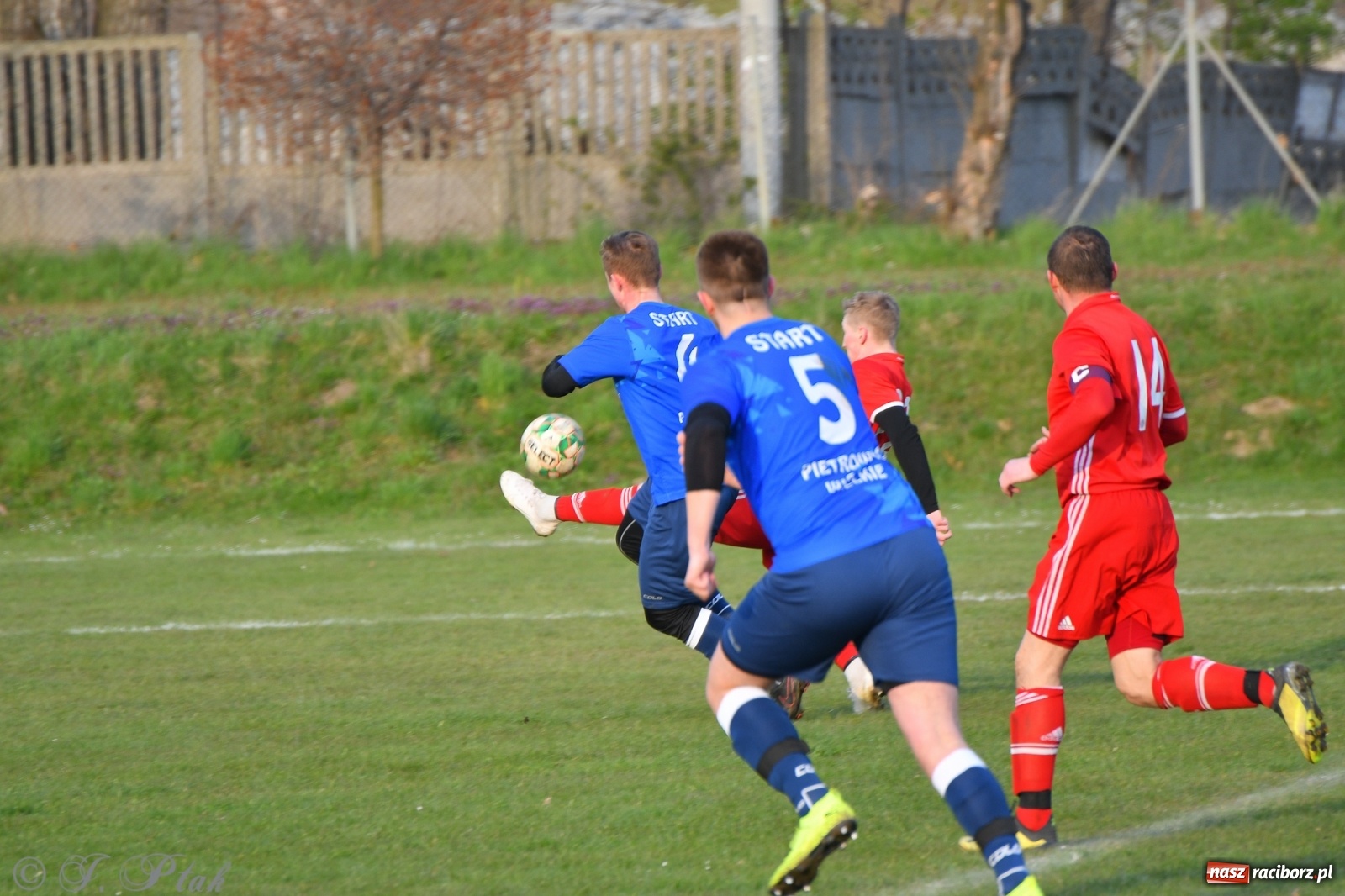Zdjęcie w galerii na portalu naszraciborz.pl: Lider z Raszczyc mocniejszy od Pietrowic Wielkich wiadomości z regionu