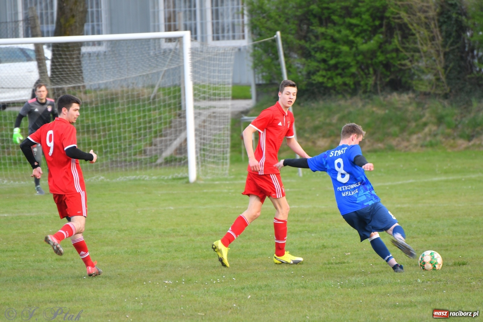 Zdjęcie w galerii na portalu naszraciborz.pl: Lider z Raszczyc mocniejszy od Pietrowic Wielkich wiadomości z regionu