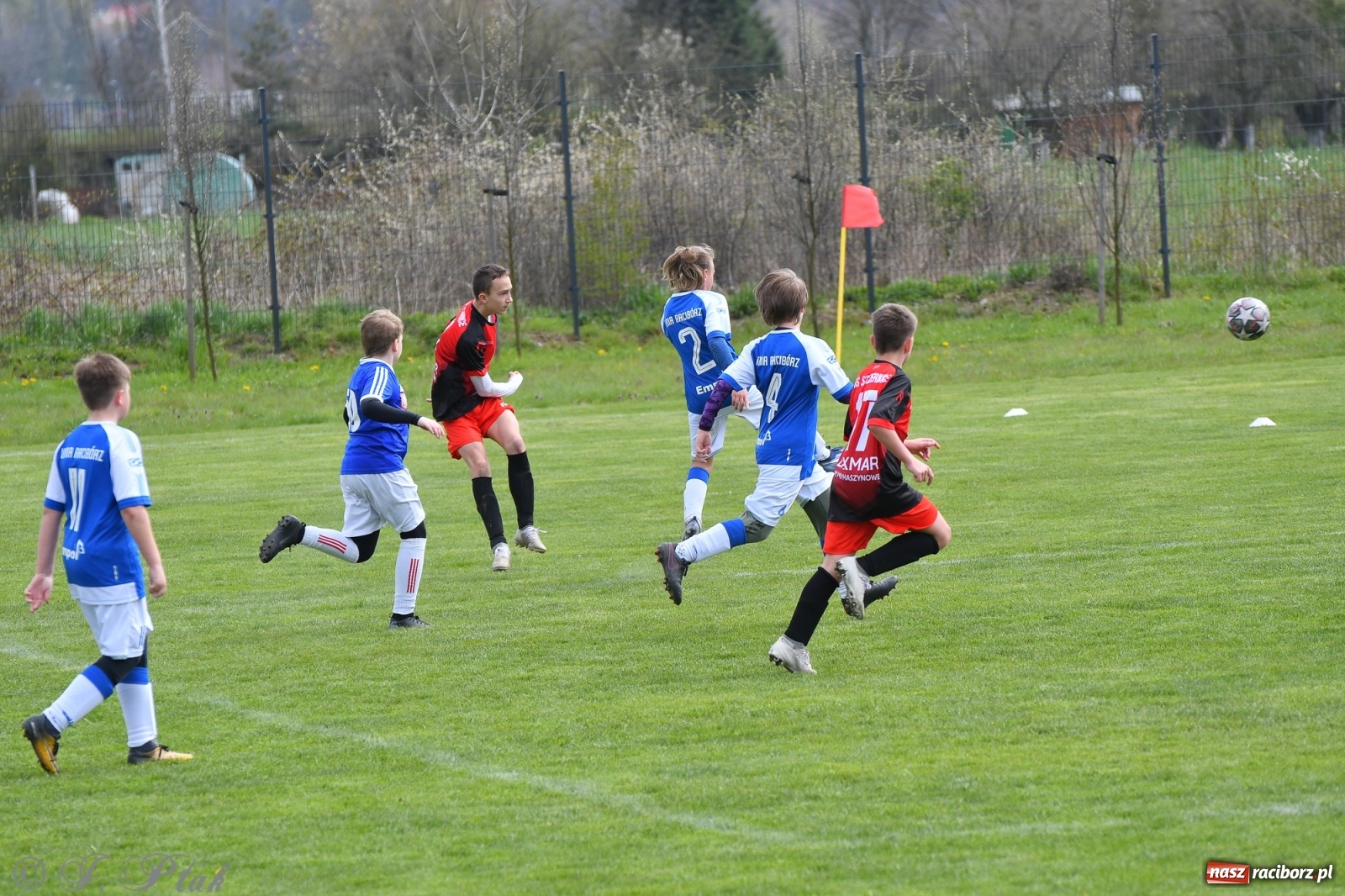 Zdjęcie w galerii na portalu naszraciborz.pl: Porażka młodzików Unii w starciu ze Szczerbicami [FOTO] wiadomości z regionu