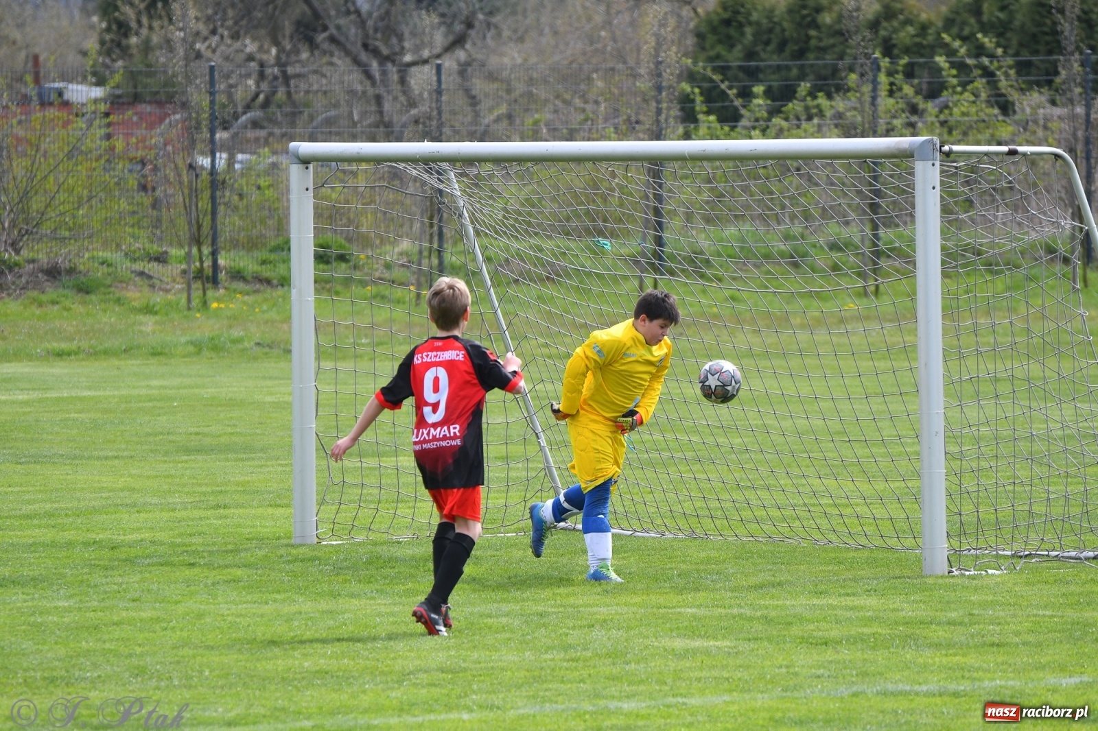 Zdjęcie w galerii na portalu naszraciborz.pl: Porażka młodzików Unii w starciu ze Szczerbicami [FOTO] wiadomości z regionu
