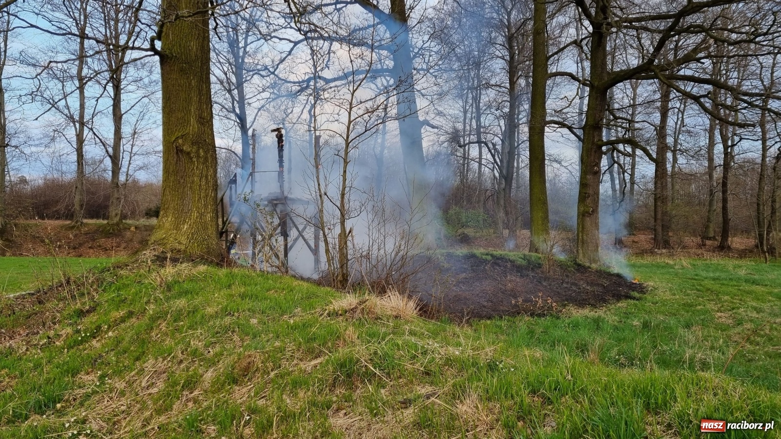 Zdjęcie w galerii na portalu naszraciborz.pl: Strażacy w akcji przy Babickiej. Spłonęła ambona [FOTO] wiadomości z regionu