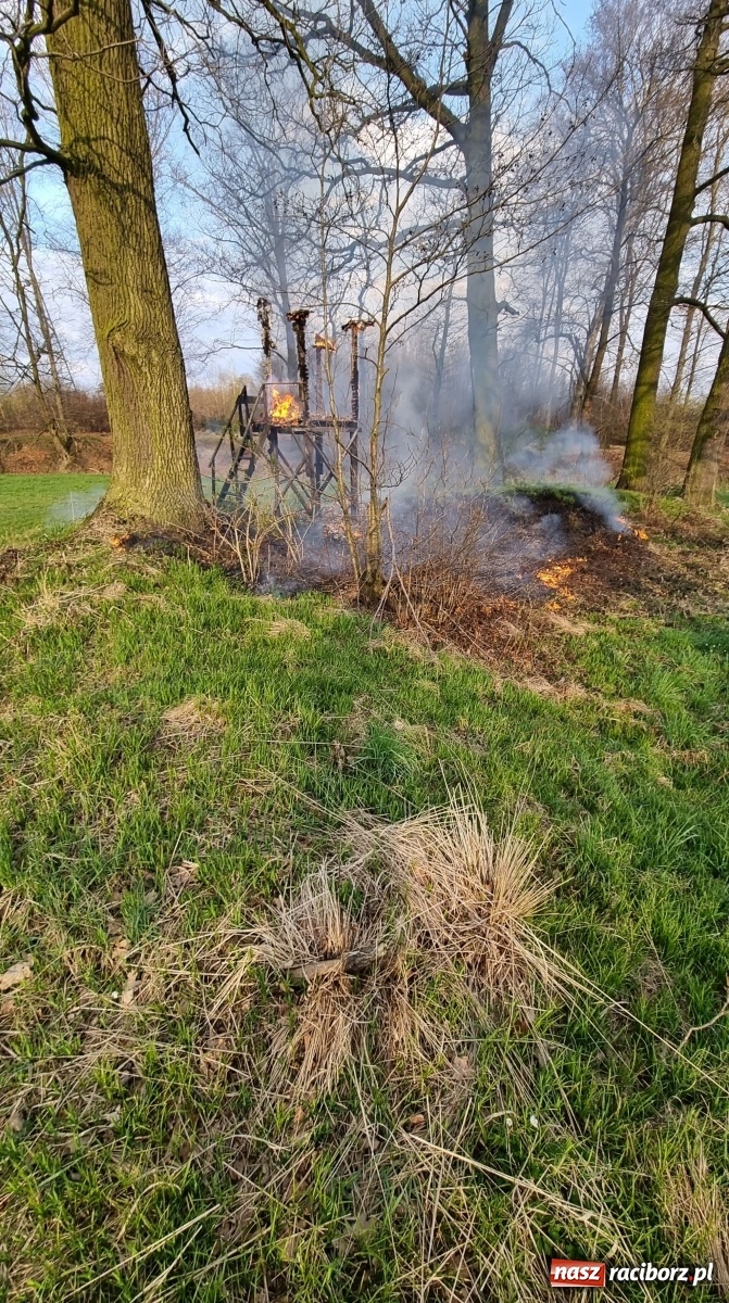 Zdjęcie w galerii na portalu naszraciborz.pl: Strażacy w akcji przy Babickiej. Spłonęła ambona [FOTO] wiadomości z regionu