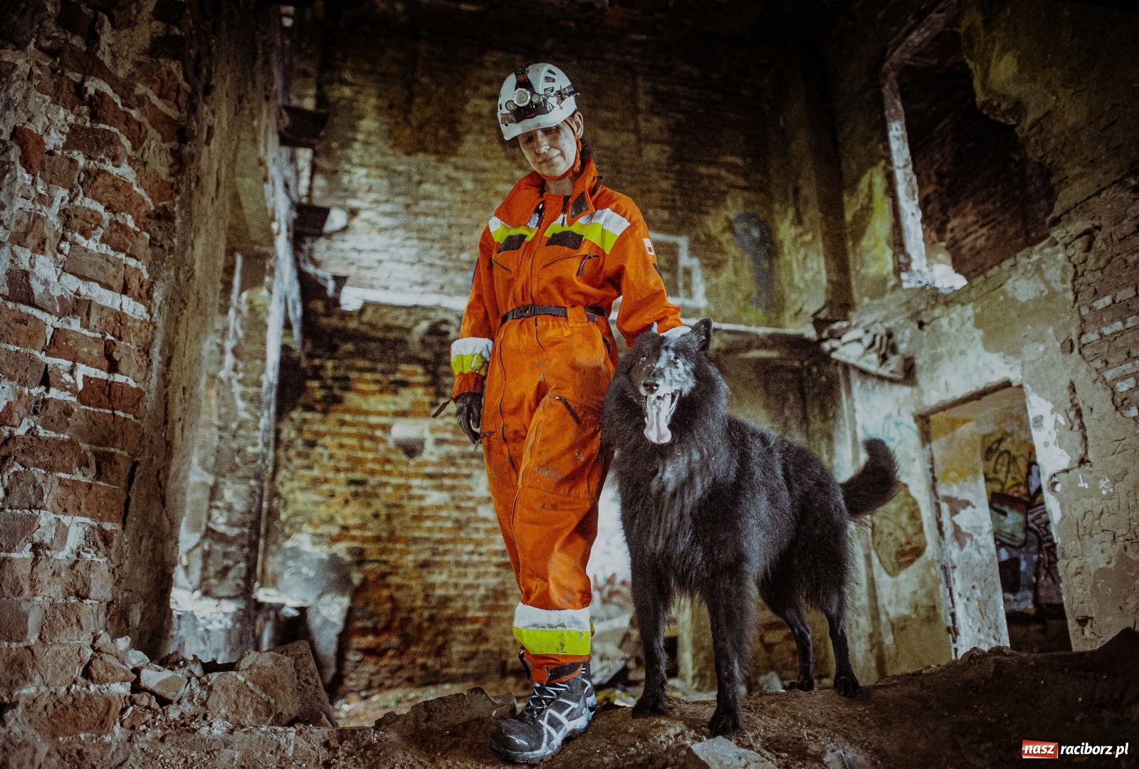 Zdjęcie w galerii na portalu naszraciborz.pl: W 13 ŚBOT służą już trzy psy wiadomości z regionu