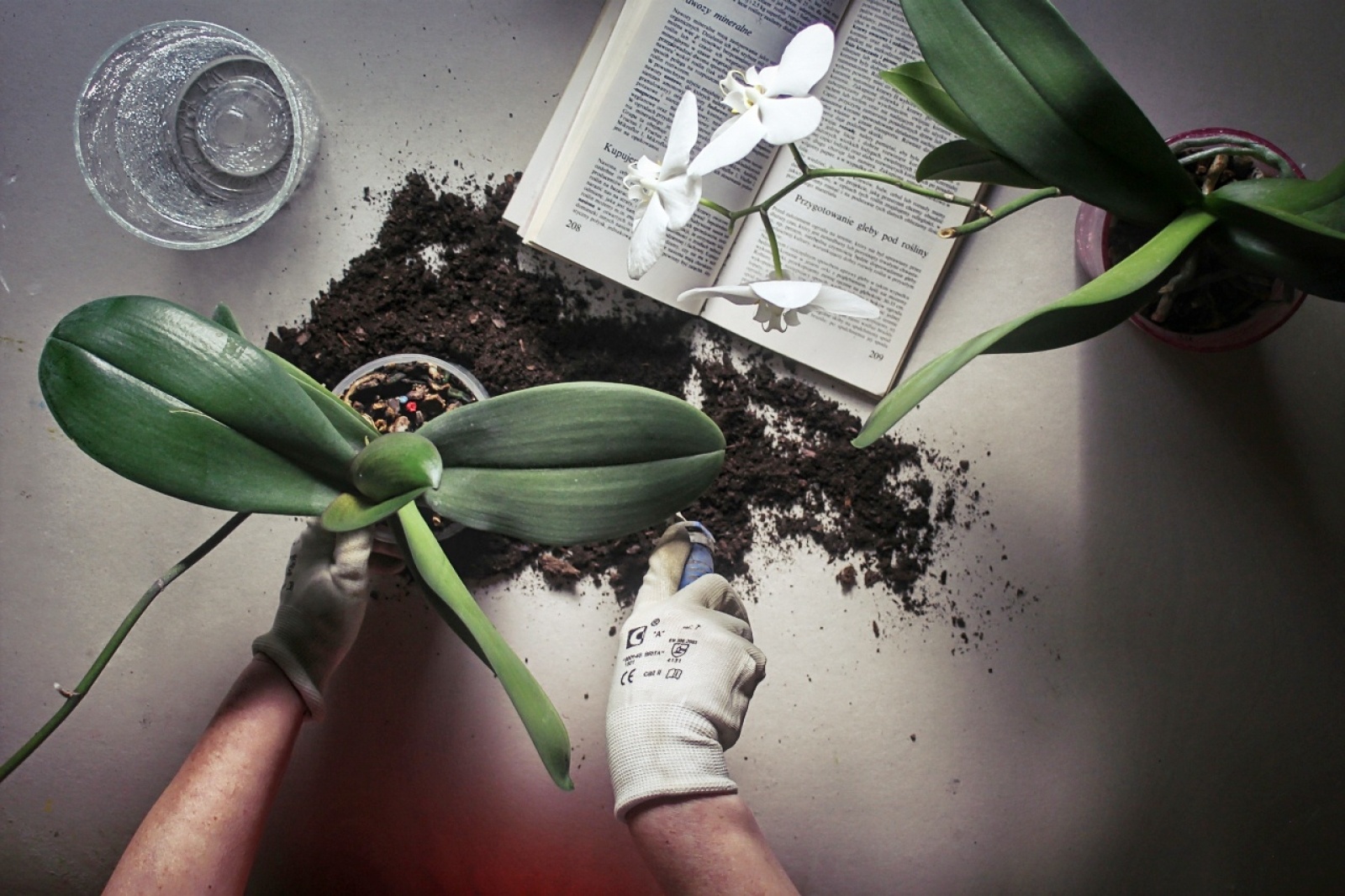 Zdjęcie w galerii na portalu naszraciborz.pl: Foton w hołdzie Ziemi. E-wystawa studentów raciborskiej PWSZ wiadomości z regionu