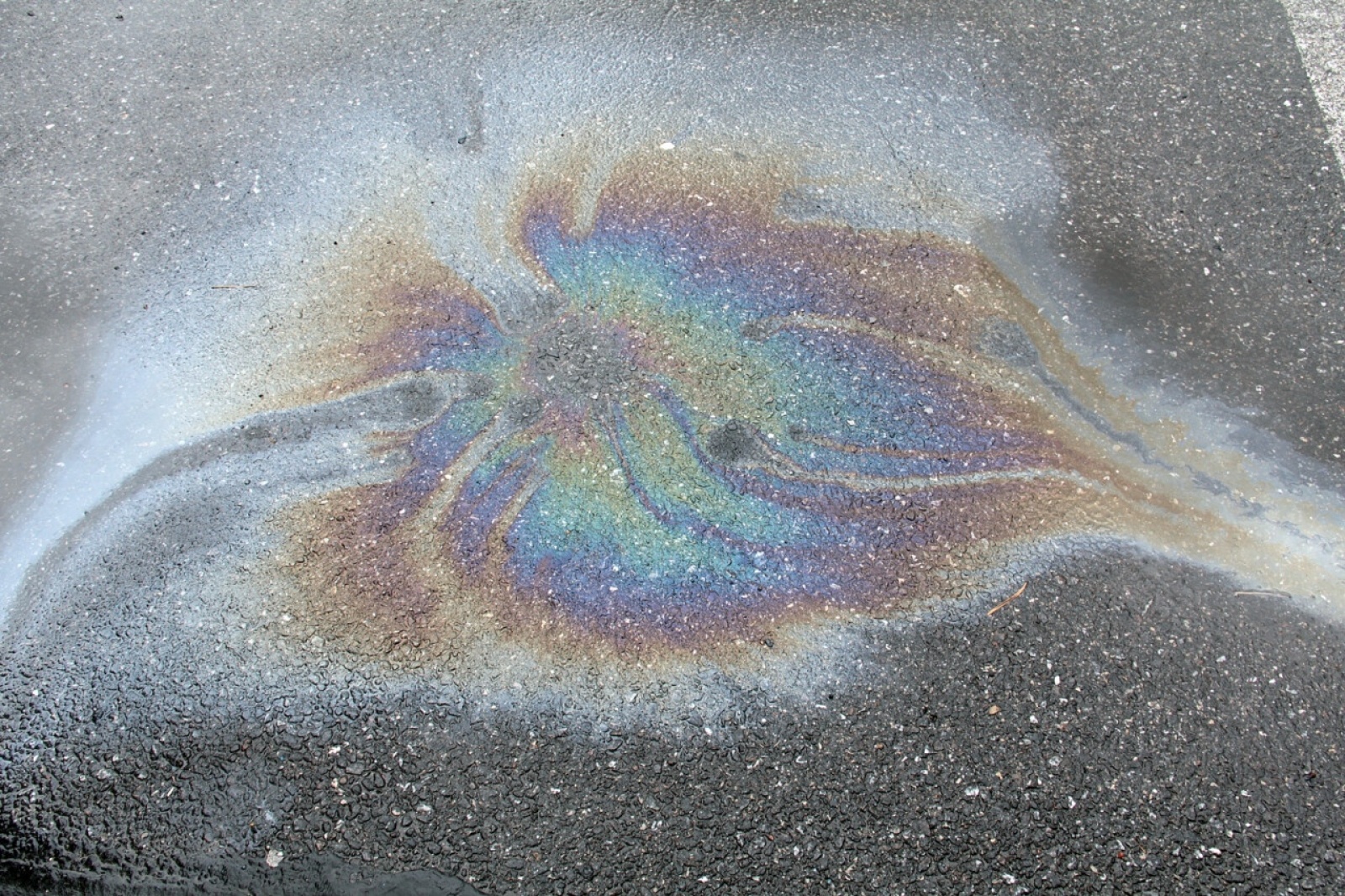 Zdjęcie w galerii na portalu naszraciborz.pl: Foton w hołdzie Ziemi. E-wystawa studentów raciborskiej PWSZ wiadomości z regionu