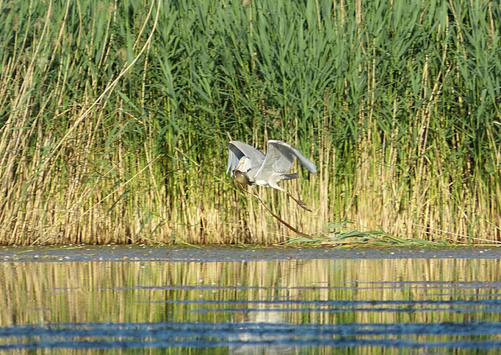 Zdjęcie w galerii na portalu naszraciborz.pl: Foton w hołdzie Ziemi. E-wystawa studentów raciborskiej PWSZ wiadomości z regionu