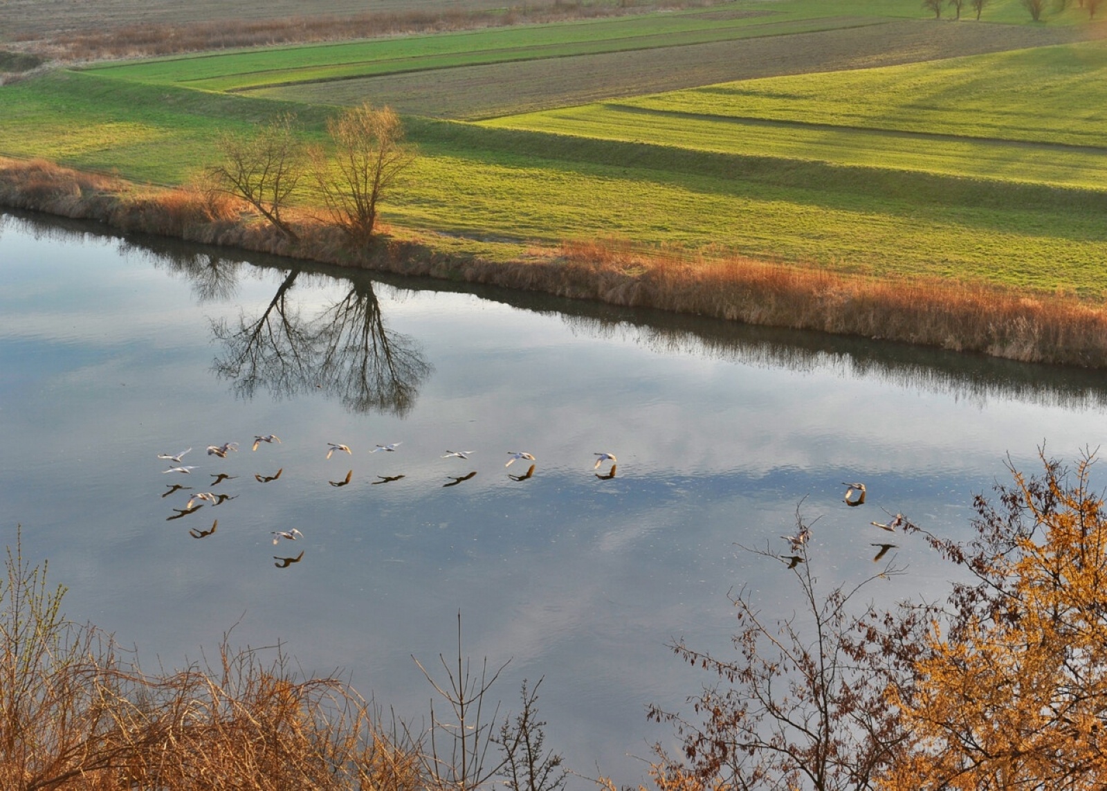 Zdjęcie w galerii na portalu naszraciborz.pl: Foton w hołdzie Ziemi. E-wystawa studentów raciborskiej PWSZ wiadomości z regionu