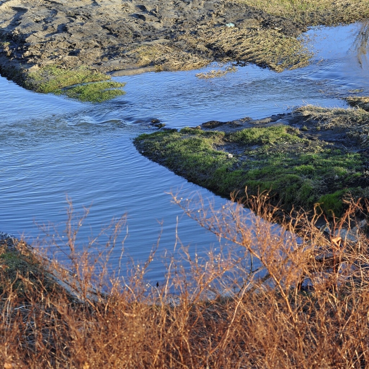 Zdjęcie w galerii na portalu naszraciborz.pl: Foton w hołdzie Ziemi. E-wystawa studentów raciborskiej PWSZ wiadomości z regionu