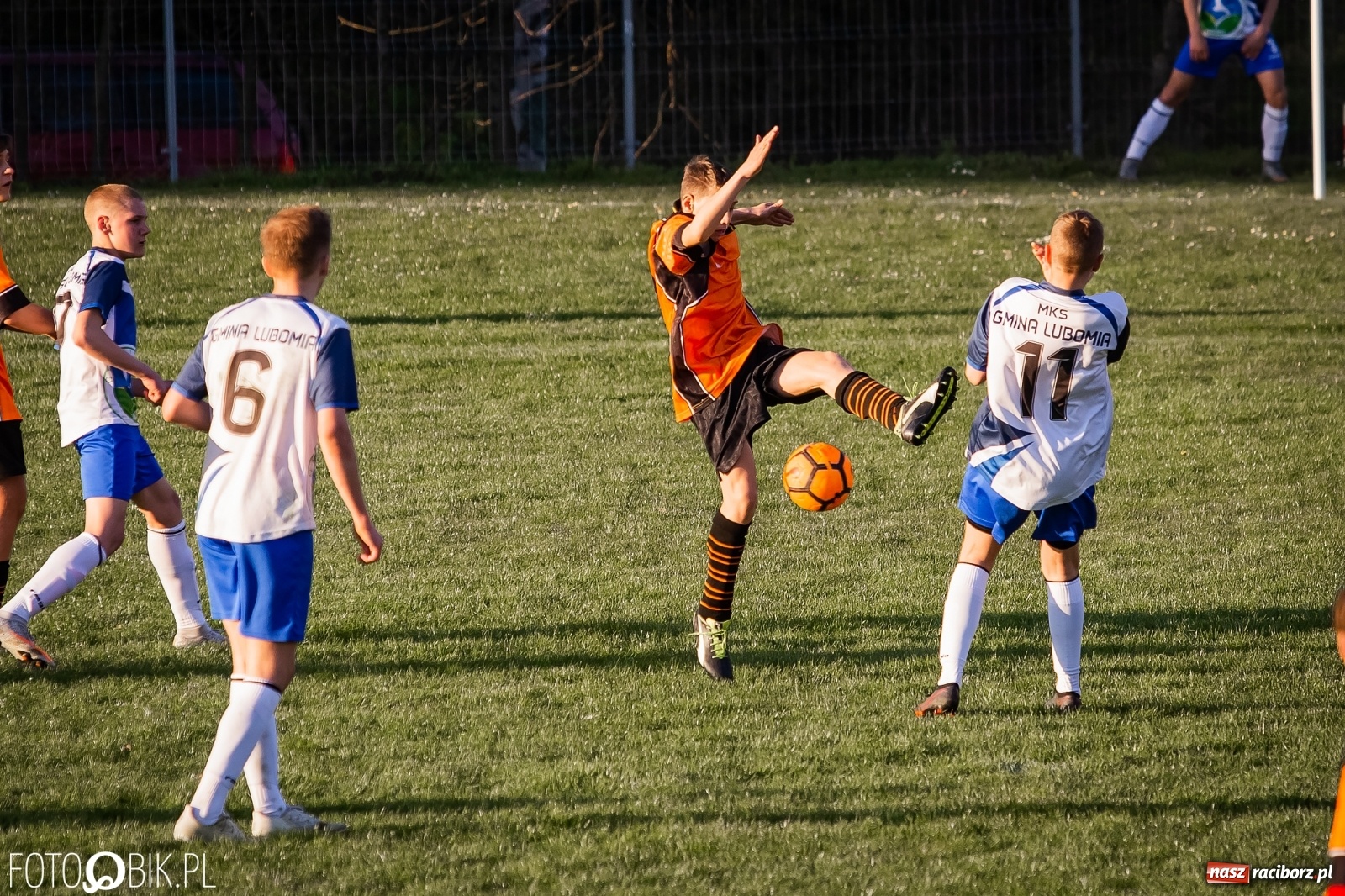 Zdjęcie w galerii na portalu naszraciborz.pl: MKS Gmina Lubomia bezlitosny dla juniorów Ocic [FOTO] wiadomości z regionu