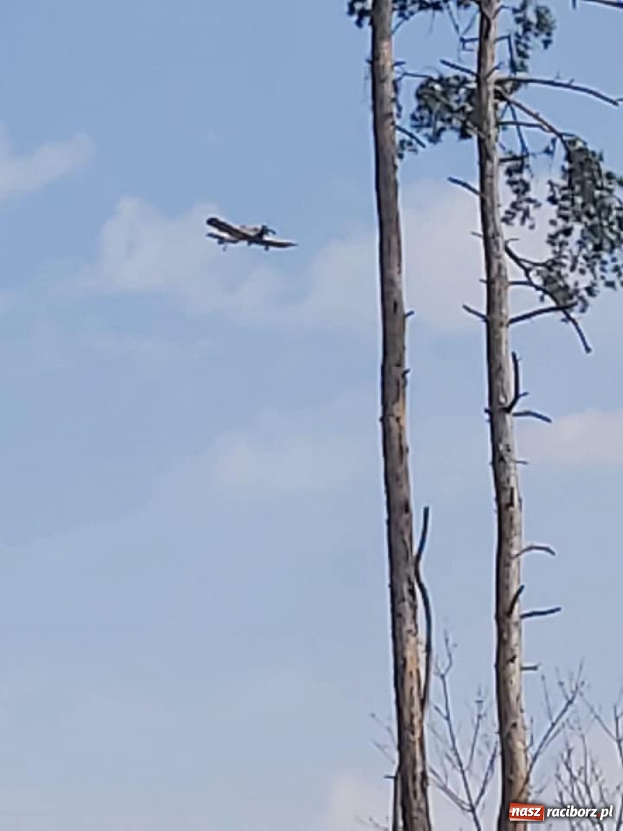 Zdjęcie w galerii na portalu naszraciborz.pl: Raport 998. Szybka reakcja służb zapobiegła tragedii wiadomości z regionu