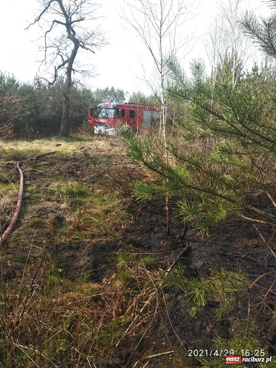 Zdjęcie w galerii na portalu naszraciborz.pl: Raport 998. Szybka reakcja służb zapobiegła tragedii wiadomości z regionu