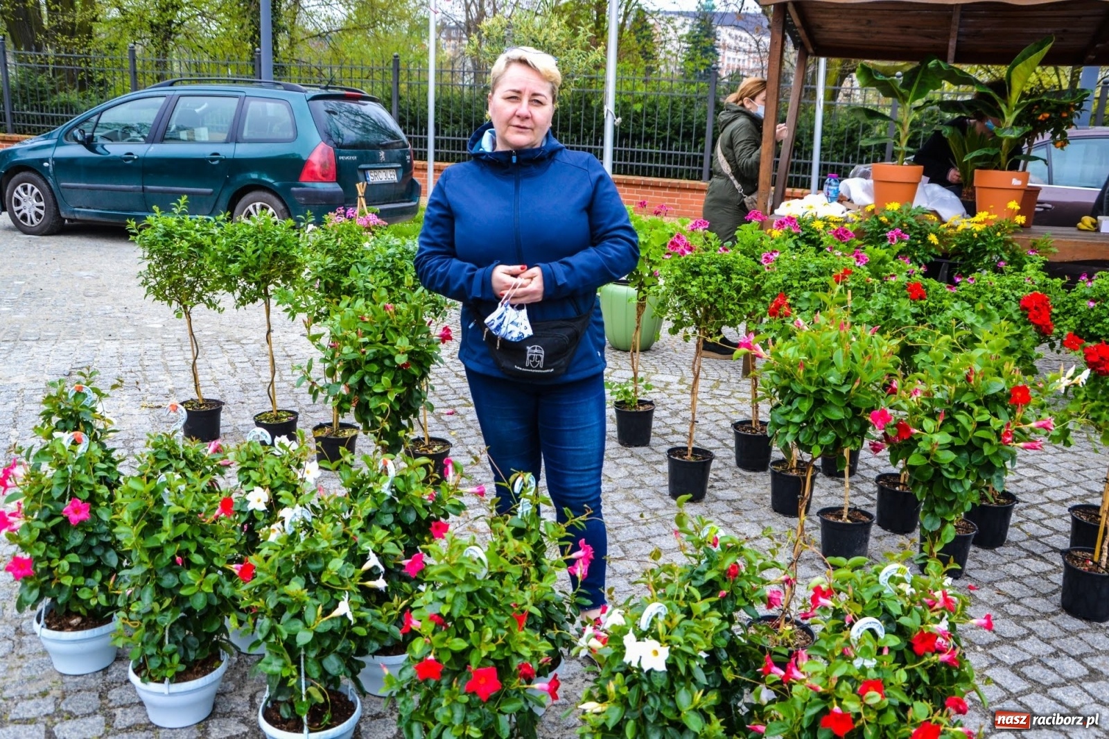 Zdjęcie w galerii na portalu naszraciborz.pl: Kwiaty znów zagościły na zamkowym dziedzińcu wiadomości z regionu