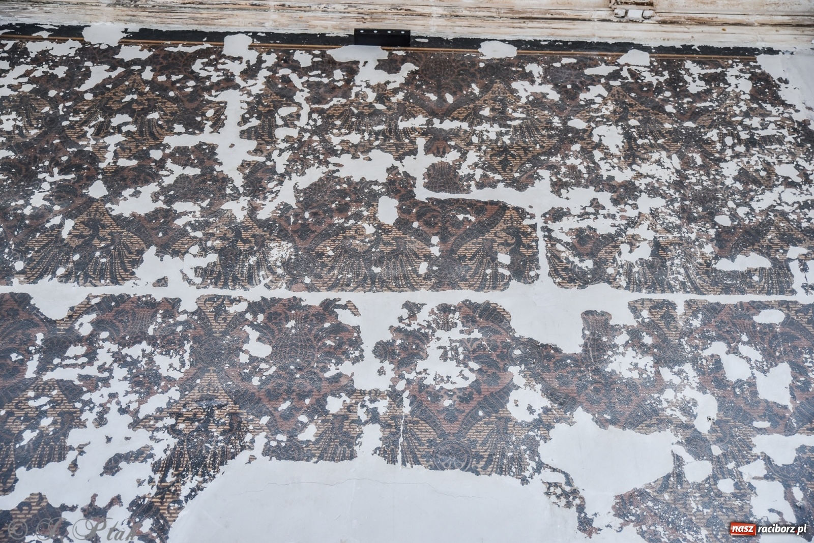 Zdjęcie w galerii na portalu naszraciborz.pl: Gmach sądu krajowego w Raciborzu. Zobaczcie odnowione wnętrza [FOTO] wiadomości z regionu