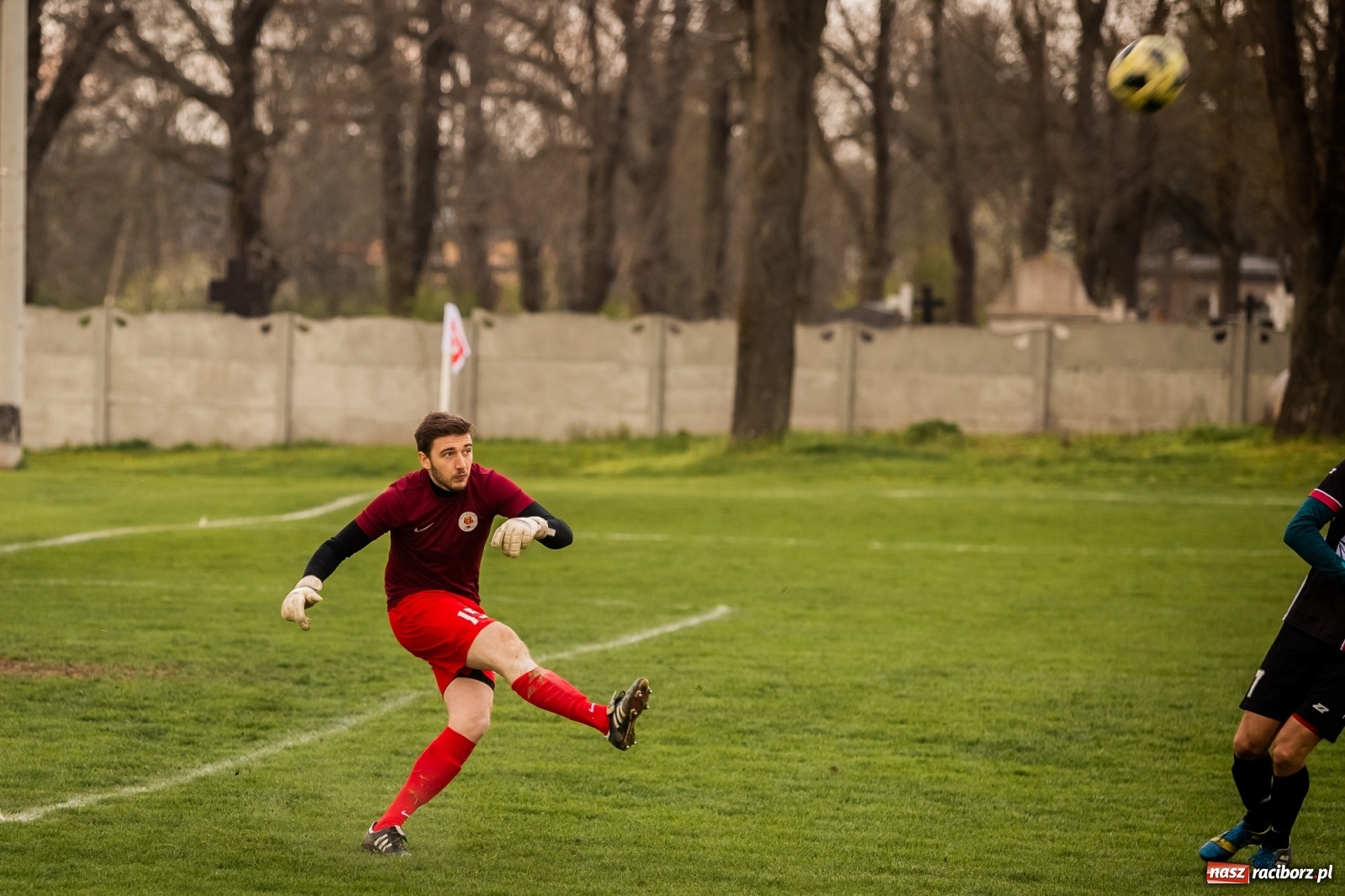Zdjęcie w galerii na portalu naszraciborz.pl: Krzanowice zdeklasowały Czerwionkę [FOTO] wiadomości z regionu