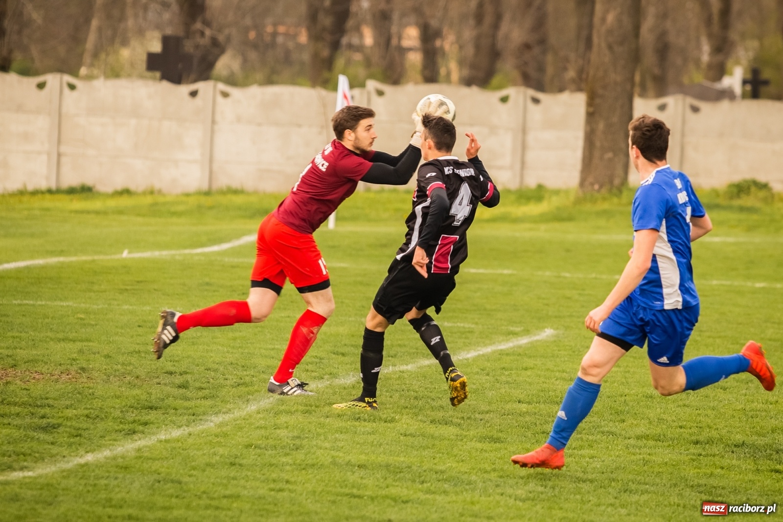 Zdjęcie w galerii na portalu naszraciborz.pl: Krzanowice zdeklasowały Czerwionkę [FOTO] wiadomości z regionu