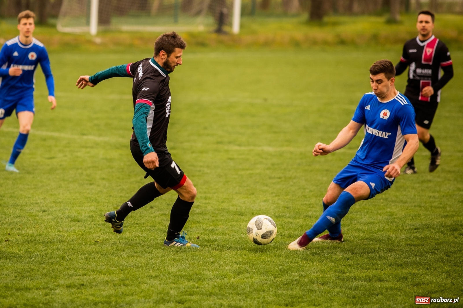 Zdjęcie w galerii na portalu naszraciborz.pl: Krzanowice zdeklasowały Czerwionkę [FOTO] wiadomości z regionu