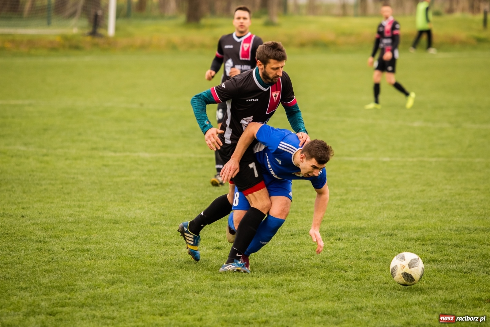 Zdjęcie w galerii na portalu naszraciborz.pl: Krzanowice zdeklasowały Czerwionkę [FOTO] wiadomości z regionu