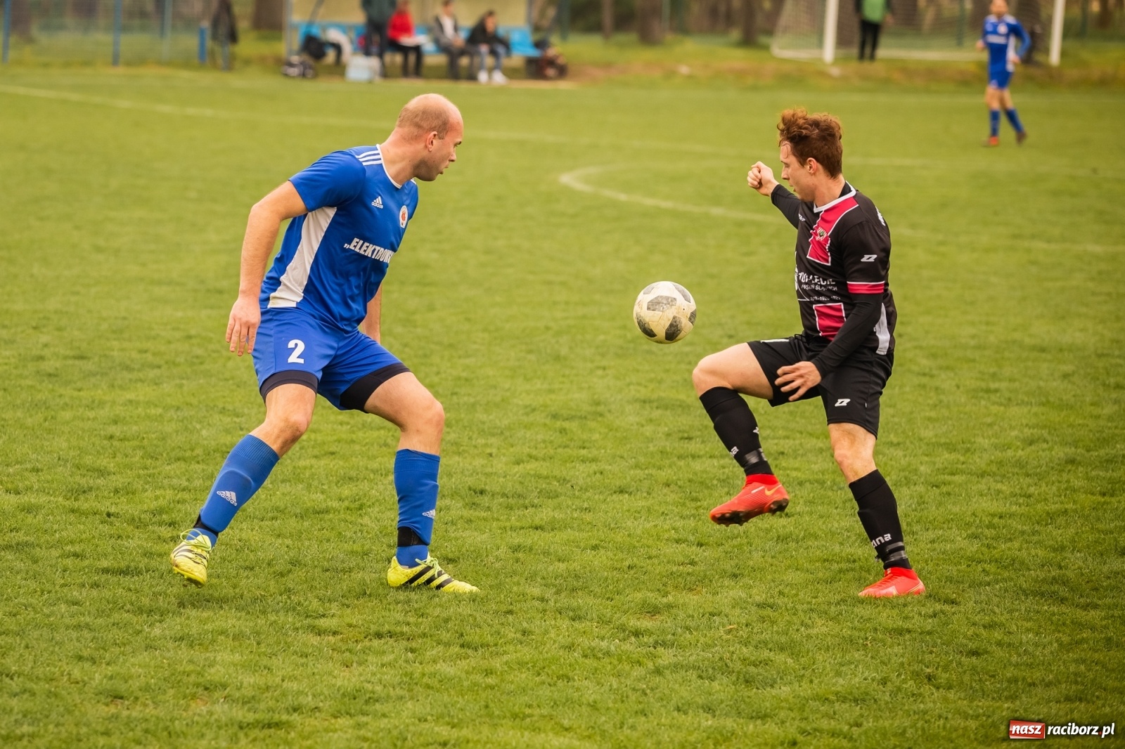 Zdjęcie w galerii na portalu naszraciborz.pl: Krzanowice zdeklasowały Czerwionkę [FOTO] wiadomości z regionu