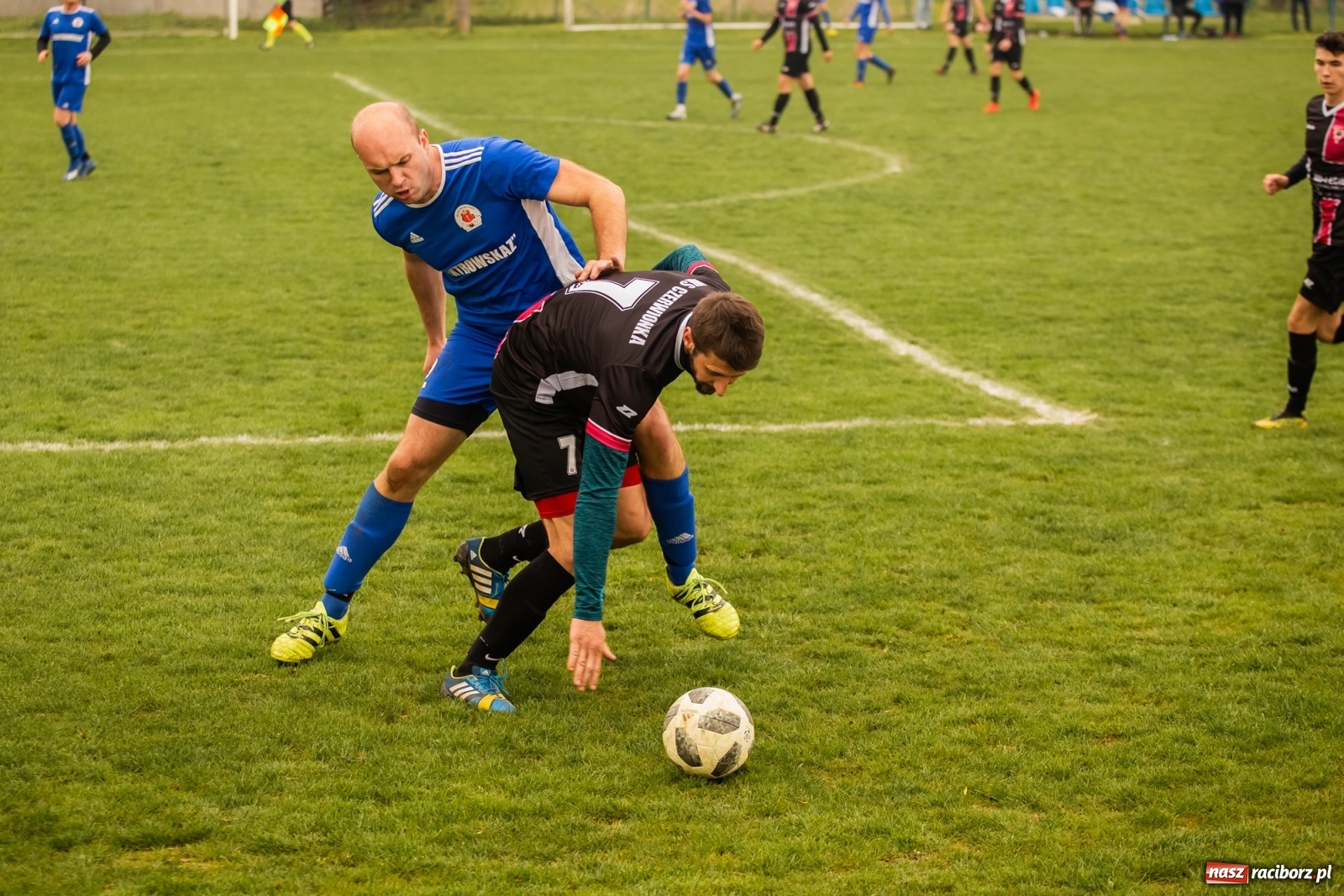 Zdjęcie w galerii na portalu naszraciborz.pl: Krzanowice zdeklasowały Czerwionkę [FOTO] wiadomości z regionu