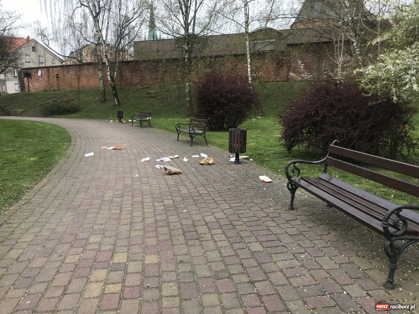 Zdjęcie w galerii na portalu naszraciborz.pl: Dzień w dzień to samo. Skwer jak chlew wiadomości z regionu