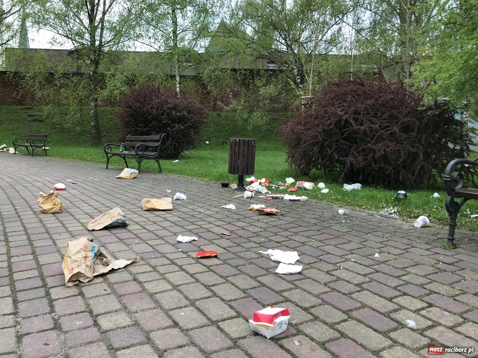 Zdjęcie w galerii na portalu naszraciborz.pl: Dzień w dzień to samo. Skwer jak chlew wiadomości z regionu