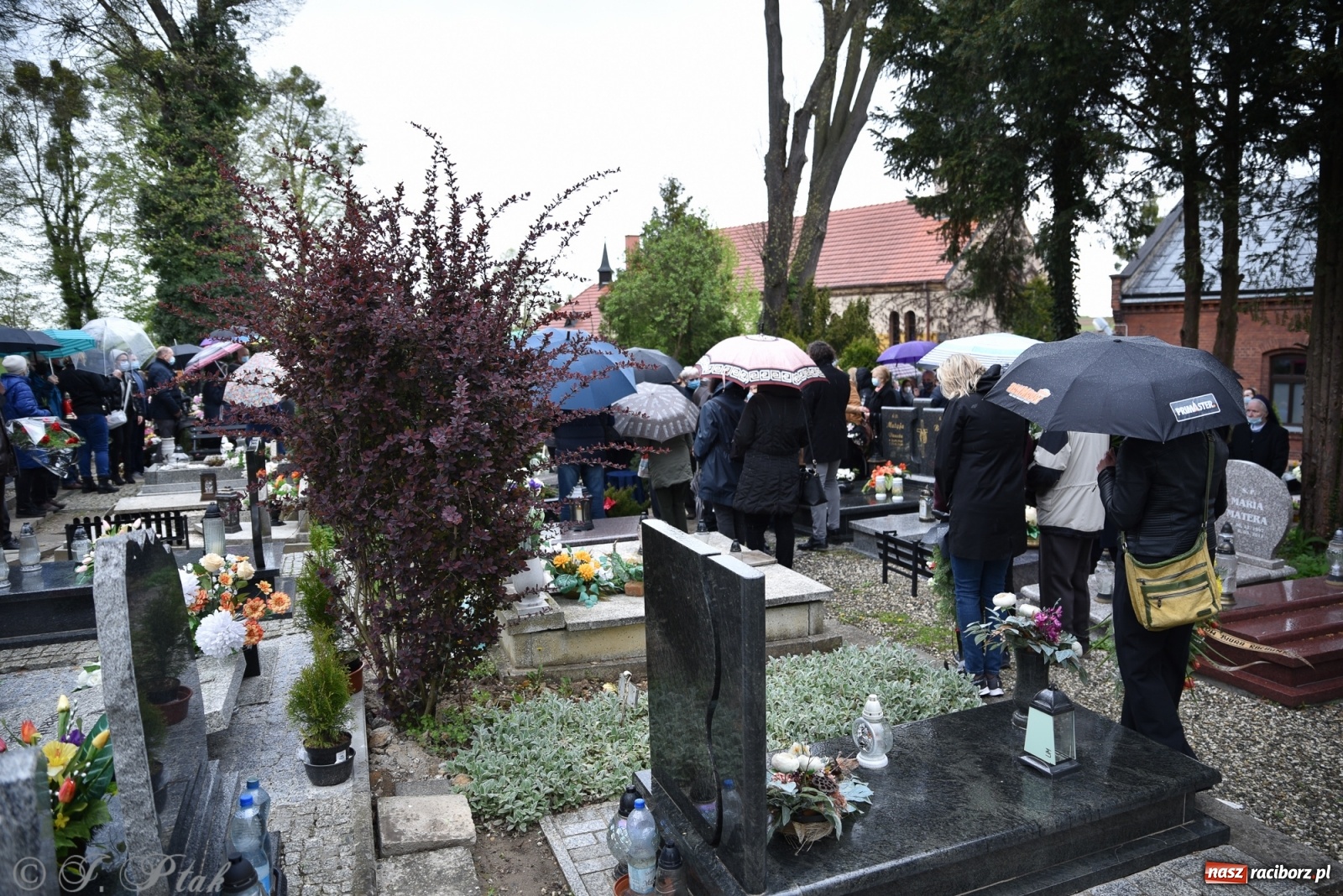 Zdjęcie w galerii na portalu naszraciborz.pl: Ostatnie pożegnanie doktora Stanisława Morawca [FOTO] wiadomości z regionu