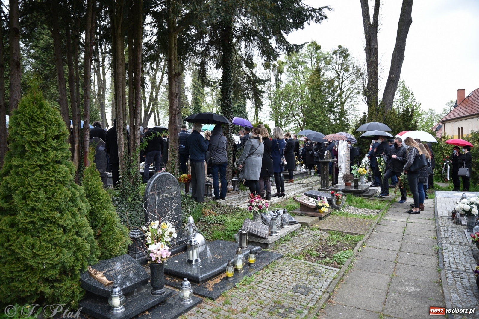 Zdjęcie w galerii na portalu naszraciborz.pl: Ostatnie pożegnanie doktora Stanisława Morawca [FOTO] wiadomości z regionu