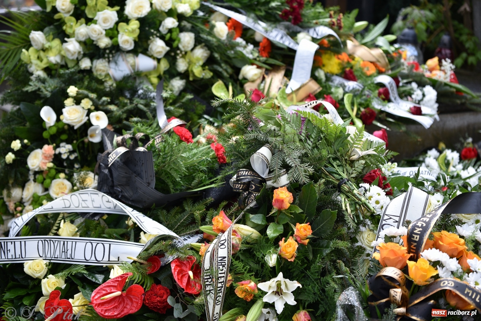 Zdjęcie w galerii na portalu naszraciborz.pl: Ostatnie pożegnanie doktora Stanisława Morawca [FOTO] wiadomości z regionu