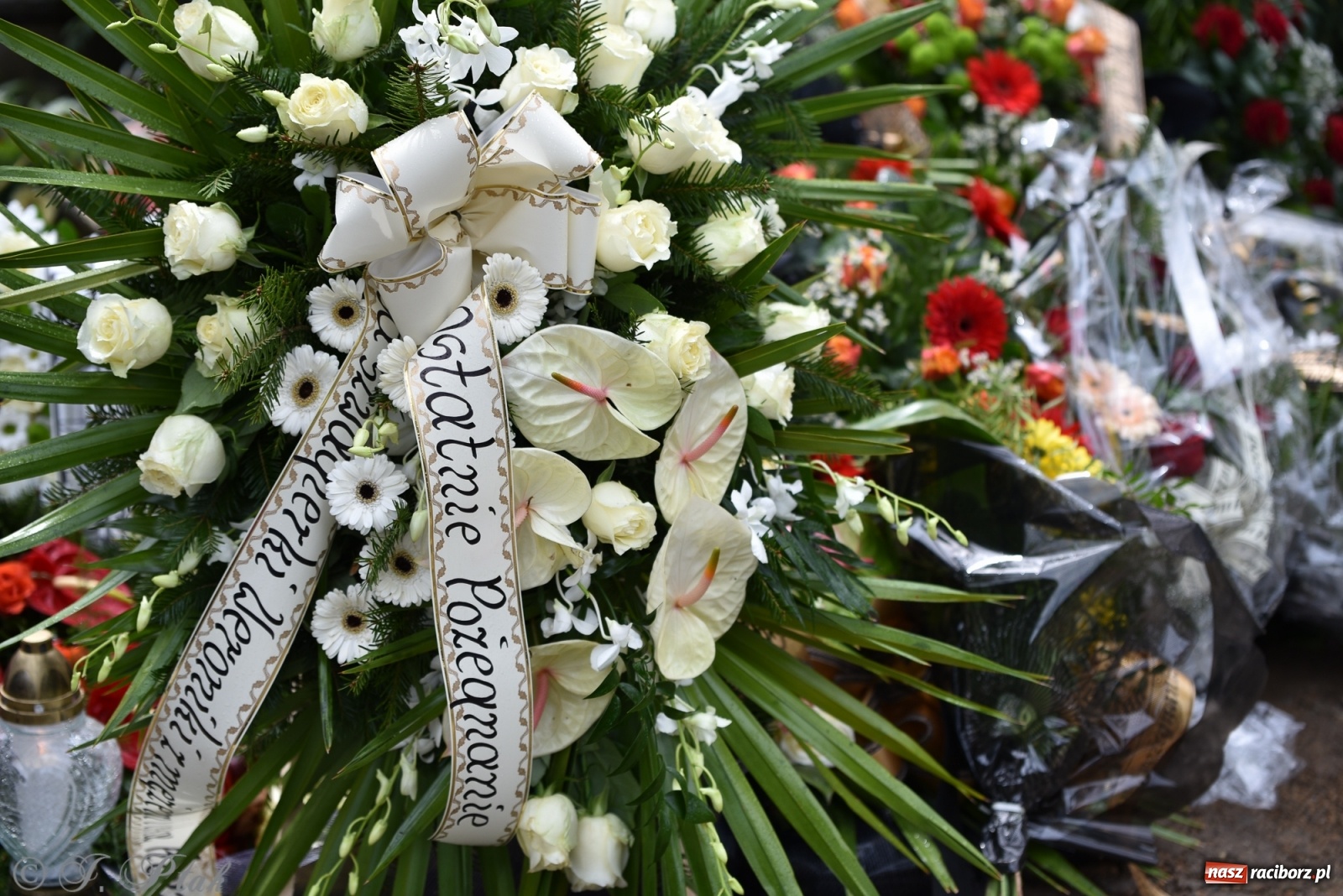 Zdjęcie w galerii na portalu naszraciborz.pl: Ostatnie pożegnanie doktora Stanisława Morawca [FOTO] wiadomości z regionu