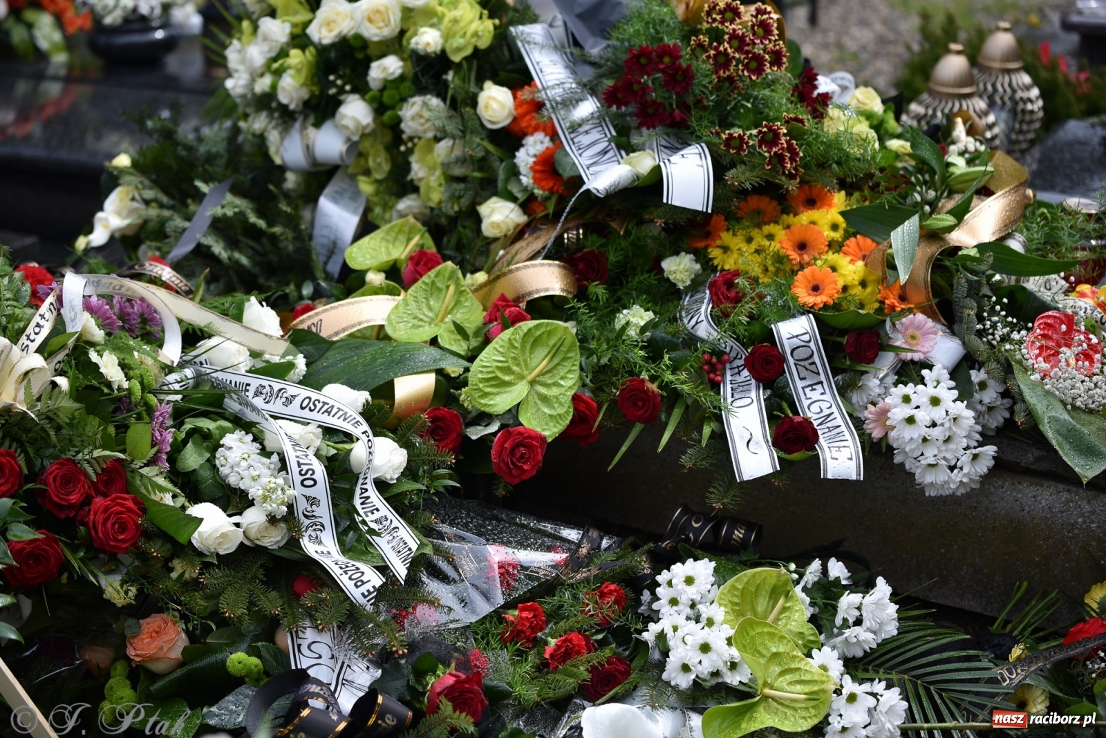 Zdjęcie w galerii na portalu naszraciborz.pl: Ostatnie pożegnanie doktora Stanisława Morawca [FOTO] wiadomości z regionu