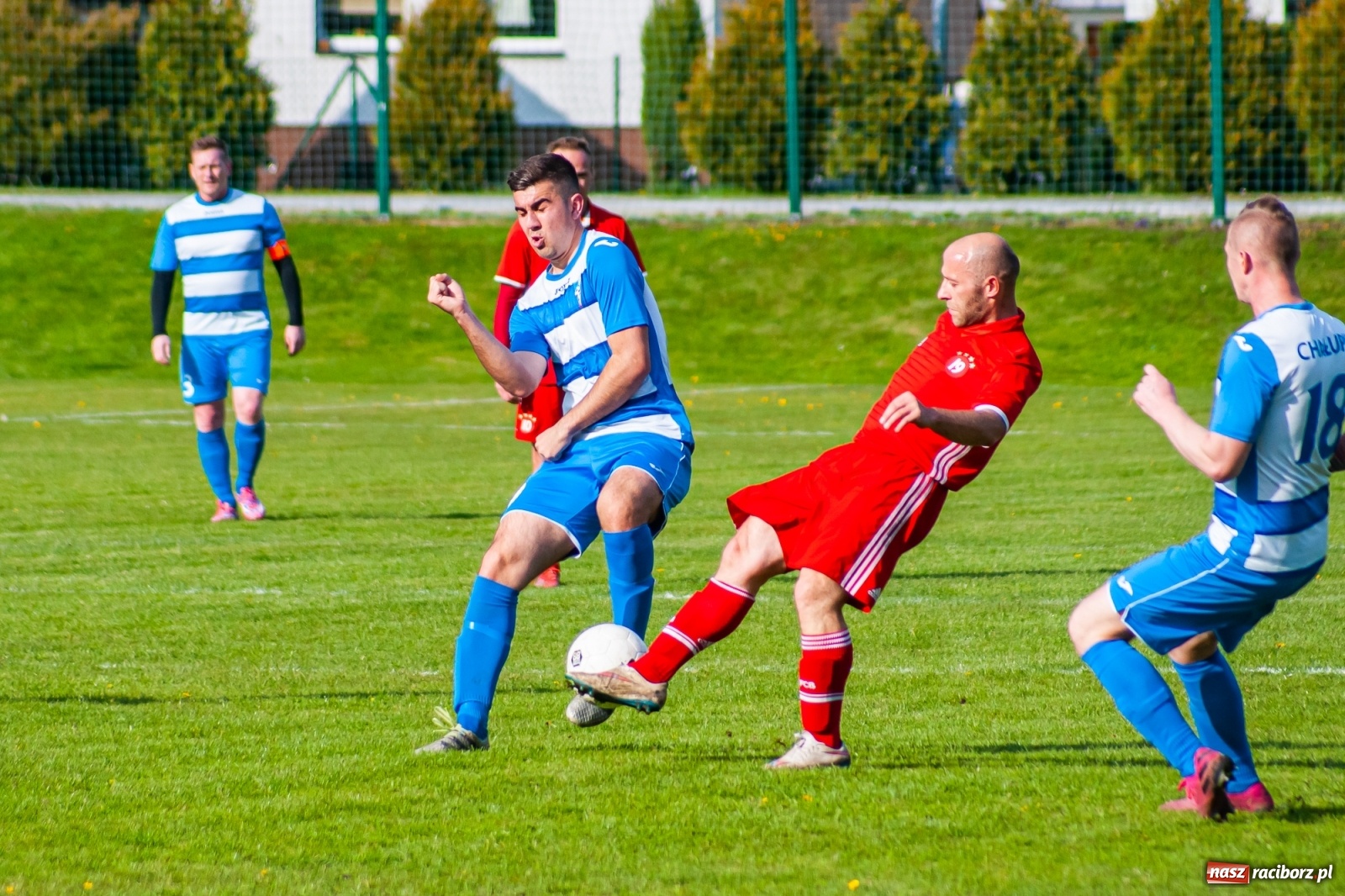 Zdjęcie w galerii na portalu naszraciborz.pl: Trafienia Buchcika i Kowalczyka, to na lidera nie styka [FOTO] wiadomości z regionu