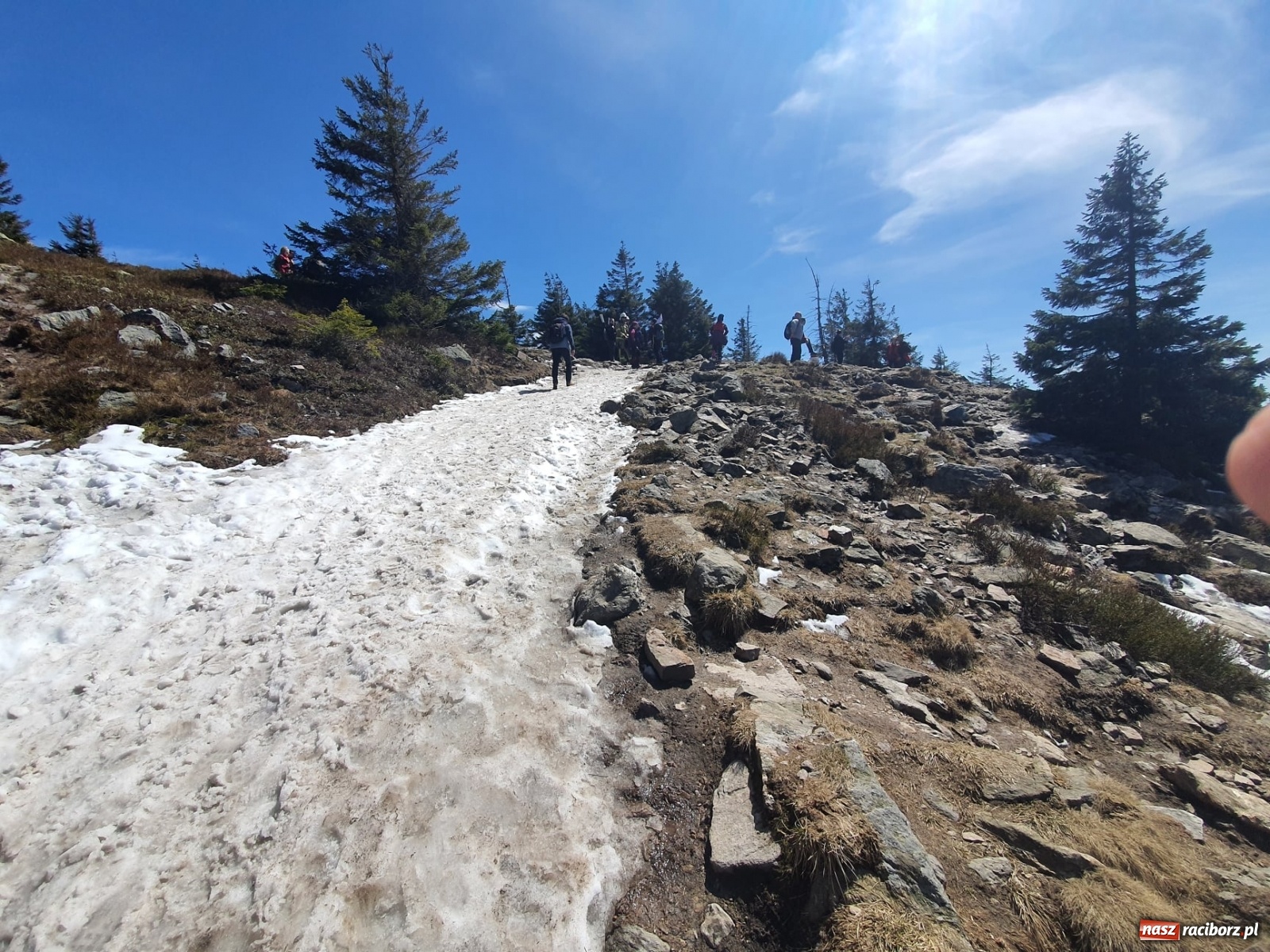 Zdjęcie w galerii na portalu naszraciborz.pl: Druhowie z Samborowic i Roszkowa zdobyli Śnieżnik [FOTO] wiadomości z regionu