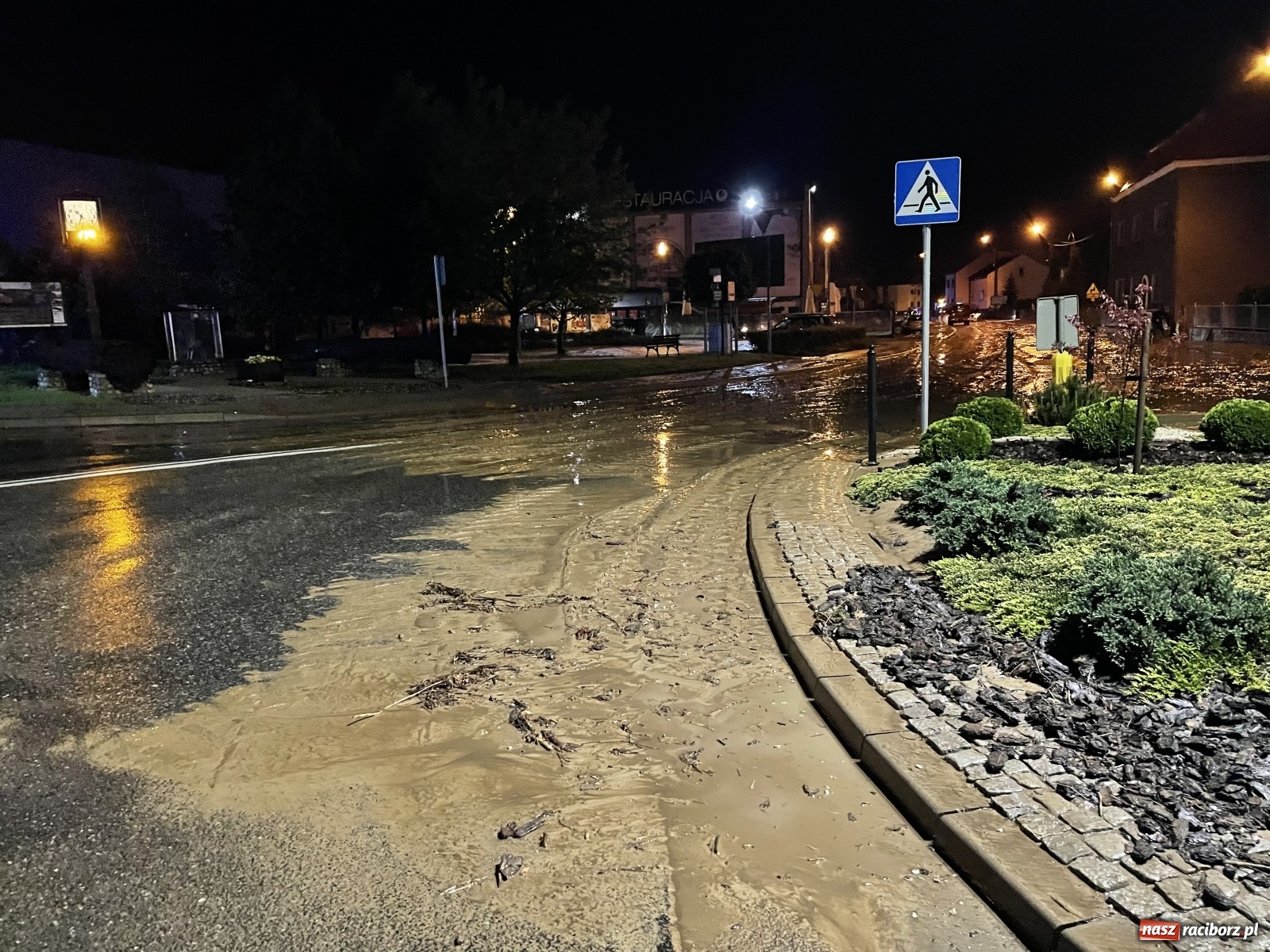 Zdjęcie w galerii na portalu naszraciborz.pl: Skutki burzy nad gminą Krzyżanowice [FOTO] wiadomości z regionu