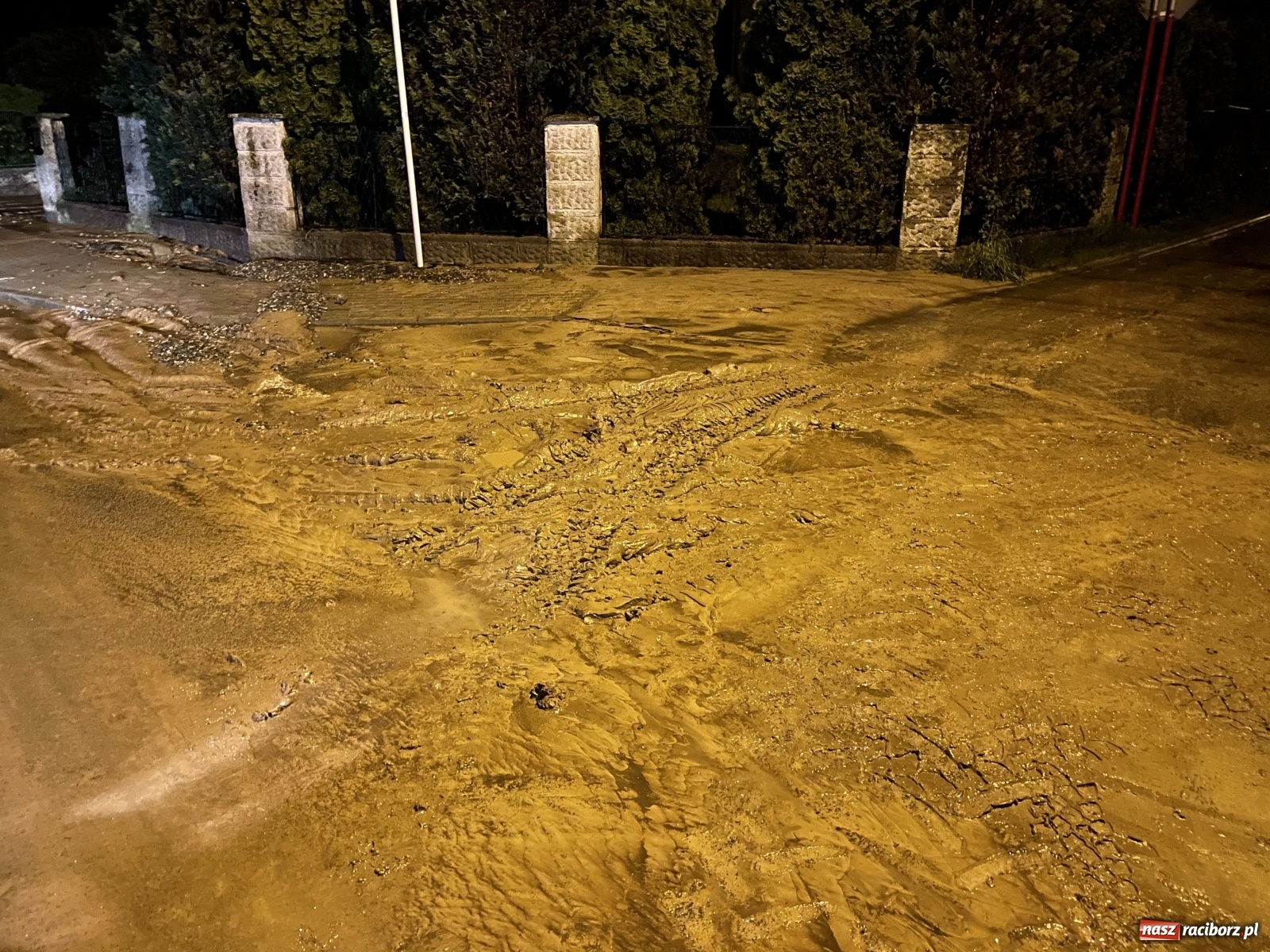 Zdjęcie w galerii na portalu naszraciborz.pl: Skutki burzy nad gminą Krzyżanowice [FOTO] wiadomości z regionu