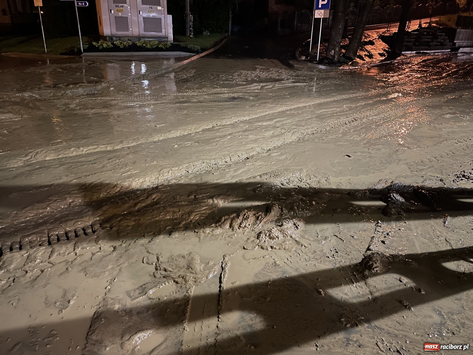 Zdjęcie w galerii na portalu naszraciborz.pl: Skutki burzy nad gminą Krzyżanowice [FOTO] wiadomości z regionu