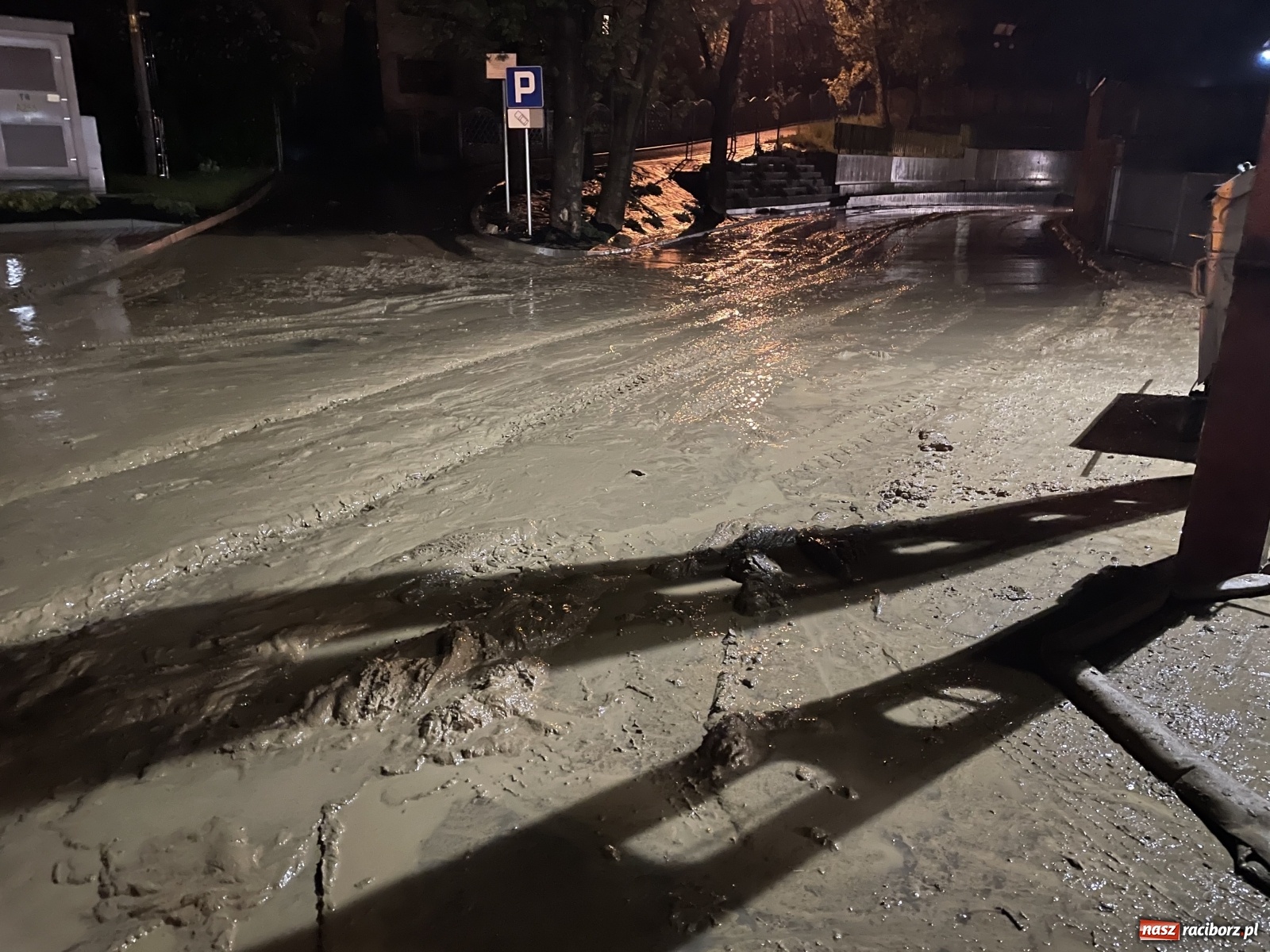 Zdjęcie w galerii na portalu naszraciborz.pl: Skutki burzy nad gminą Krzyżanowice [FOTO] wiadomości z regionu