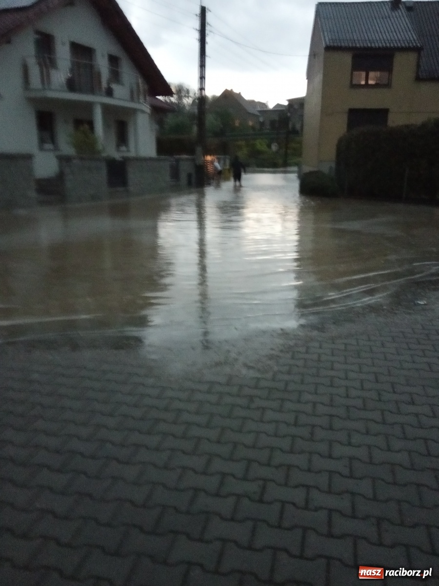 Zdjęcie w galerii na portalu naszraciborz.pl: Skutki burzy nad gminą Krzyżanowice [FOTO] wiadomości z regionu