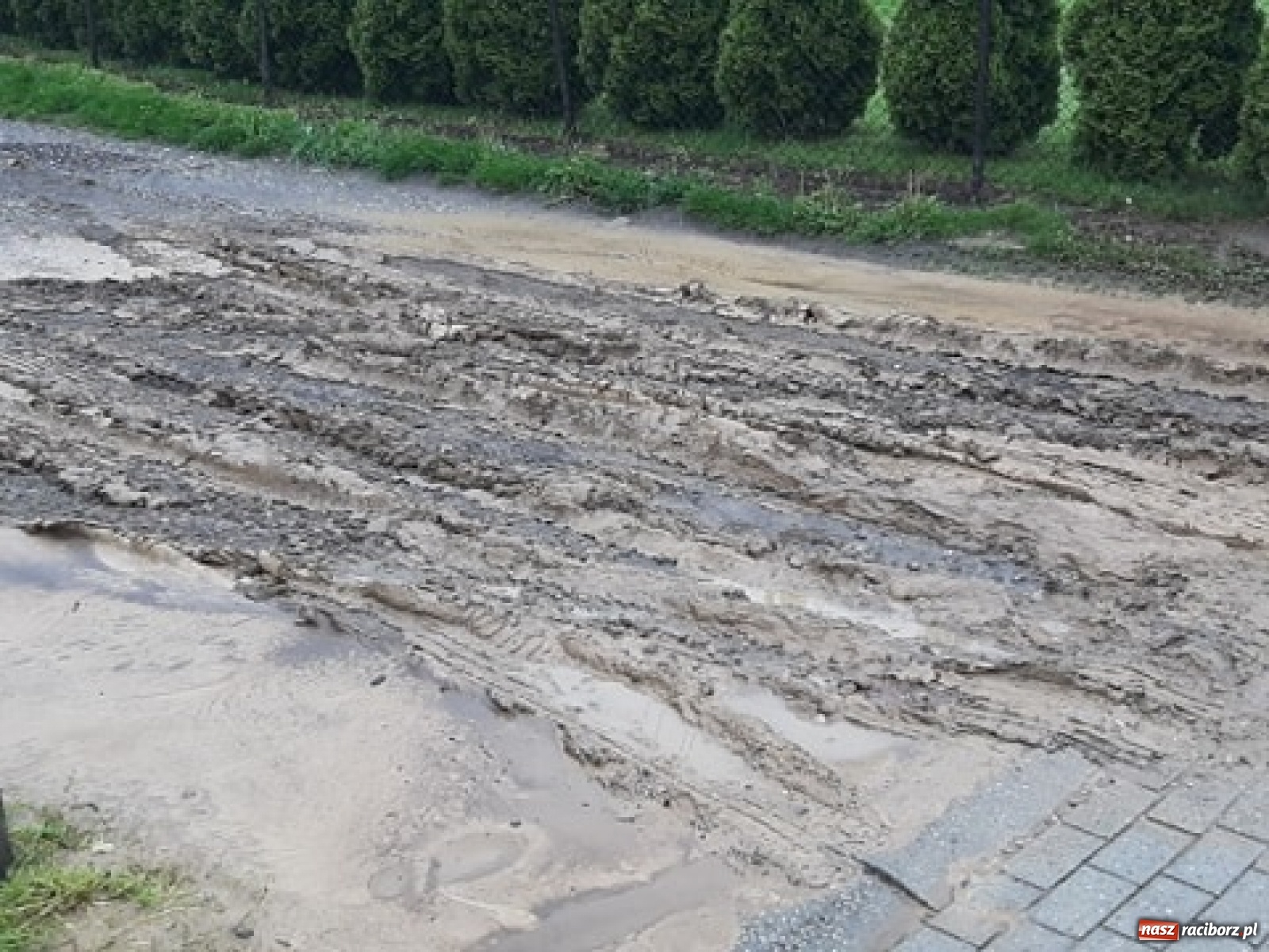 Zdjęcie w galerii na portalu naszraciborz.pl: Skutki burzy nad gminą Krzyżanowice [FOTO] wiadomości z regionu
