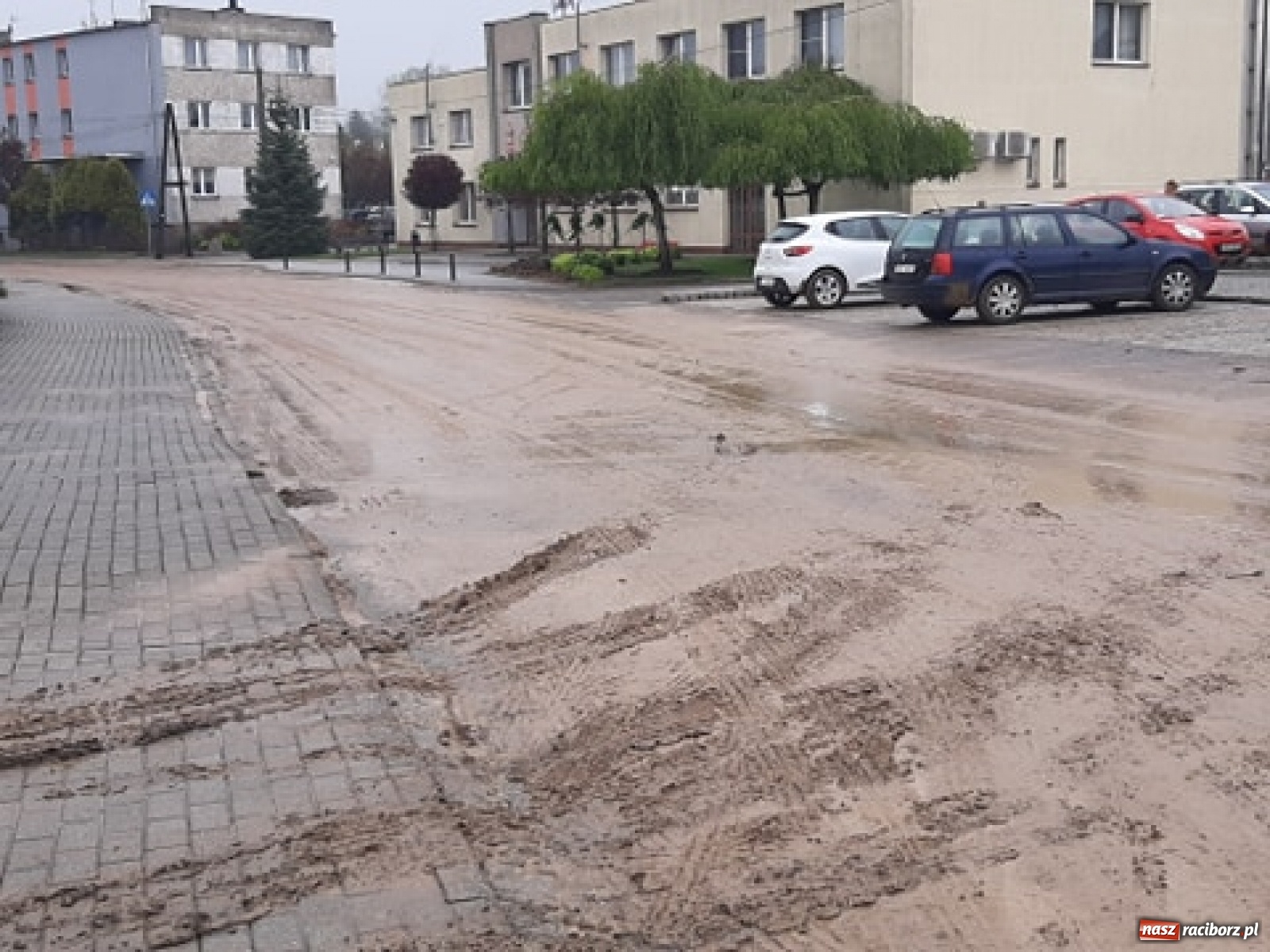 Zdjęcie w galerii na portalu naszraciborz.pl: Skutki burzy nad gminą Krzyżanowice [FOTO] wiadomości z regionu