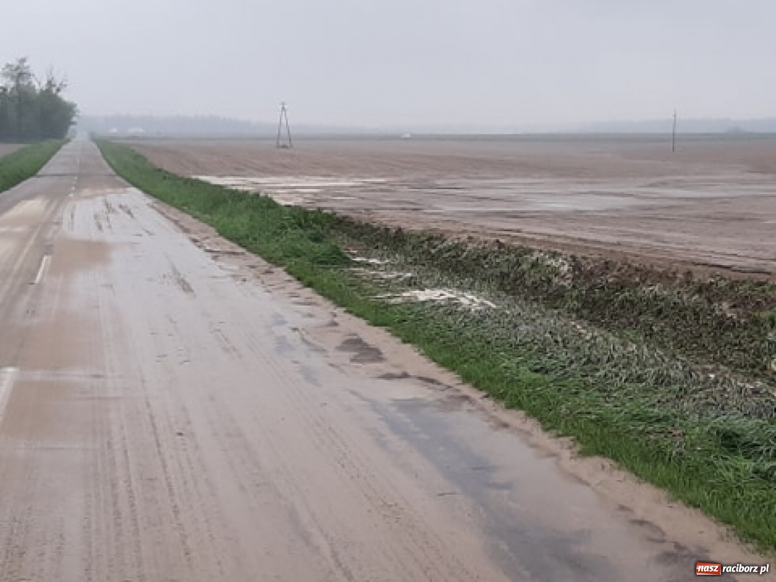 Zdjęcie w galerii na portalu naszraciborz.pl: Skutki burzy nad gminą Krzyżanowice [FOTO] wiadomości z regionu