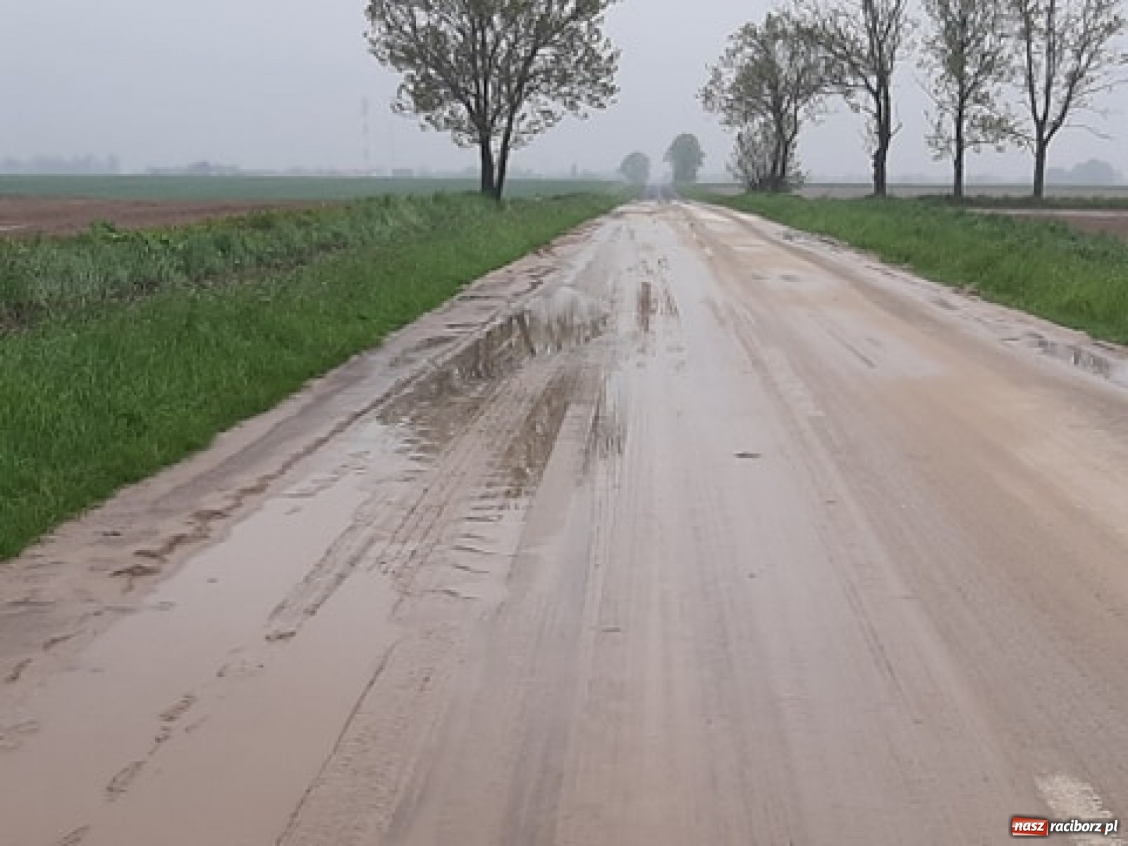 Zdjęcie w galerii na portalu naszraciborz.pl: Skutki burzy nad gminą Krzyżanowice [FOTO] wiadomości z regionu