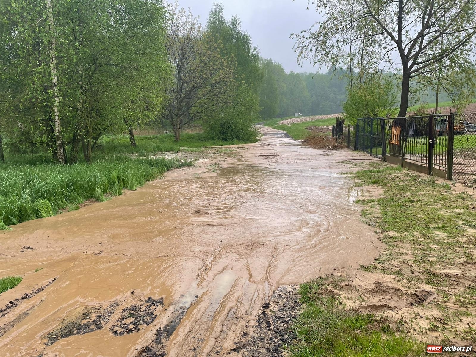 Zdjęcie w galerii na portalu naszraciborz.pl: Skutki burzy nad gminą Krzyżanowice [FOTO] wiadomości z regionu
