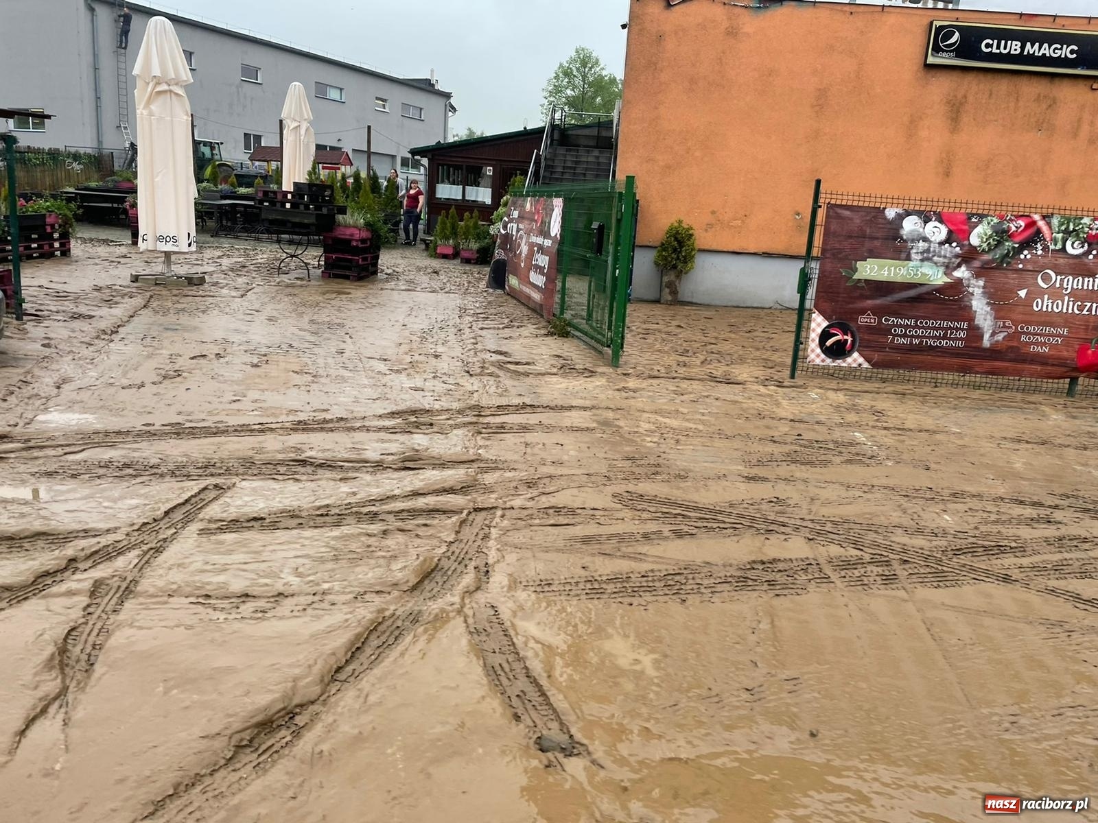 Zdjęcie w galerii na portalu naszraciborz.pl: Skutki burzy nad gminą Krzyżanowice [FOTO] wiadomości z regionu