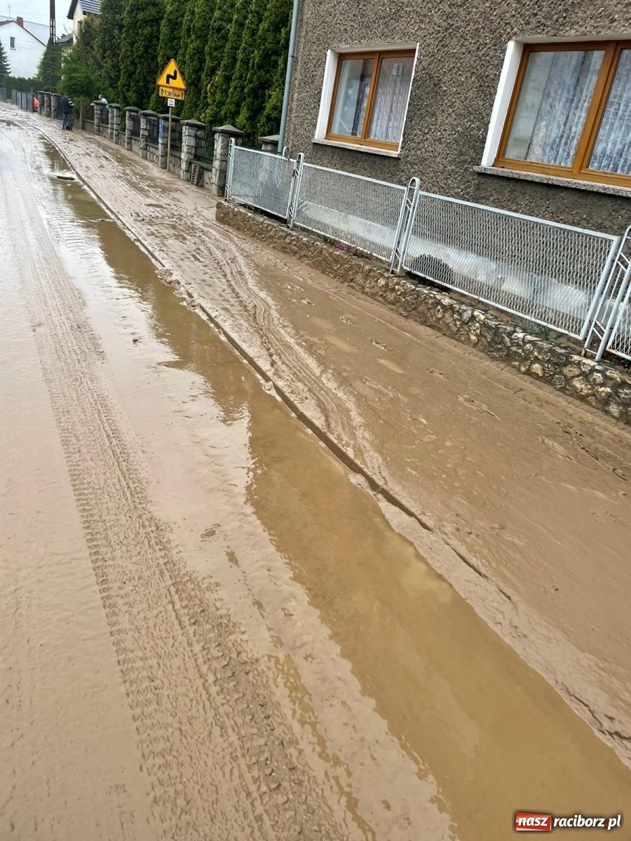 Zdjęcie w galerii na portalu naszraciborz.pl: Skutki burzy nad gminą Krzyżanowice [FOTO] wiadomości z regionu