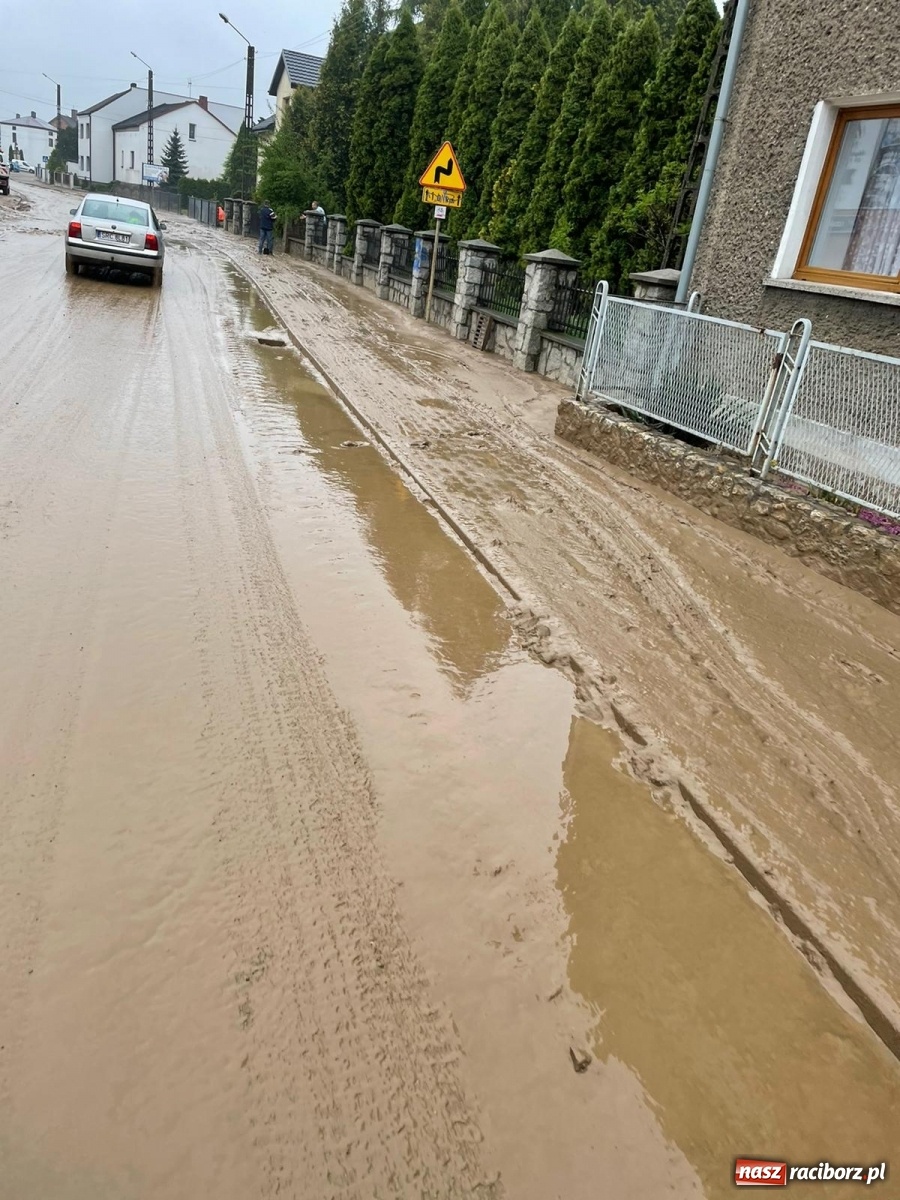 Zdjęcie w galerii na portalu naszraciborz.pl: Skutki burzy nad gminą Krzyżanowice [FOTO] wiadomości z regionu