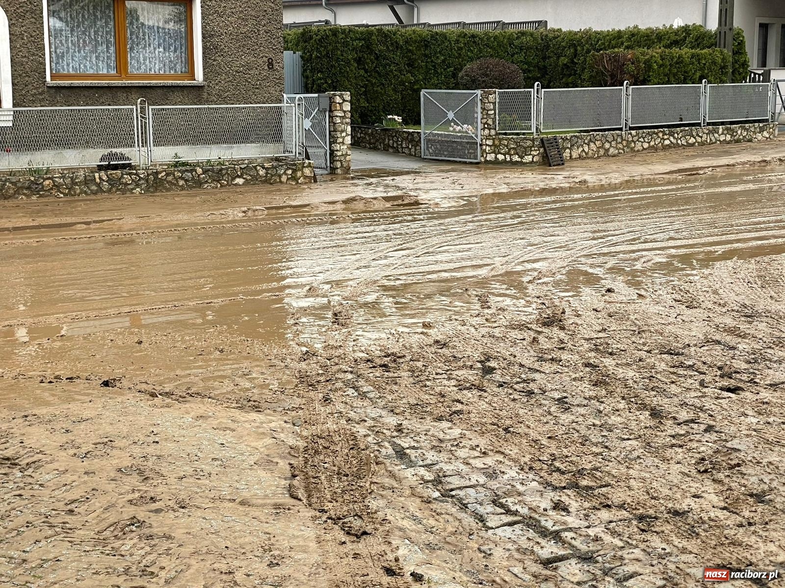 Zdjęcie w galerii na portalu naszraciborz.pl: Skutki burzy nad gminą Krzyżanowice [FOTO] wiadomości z regionu