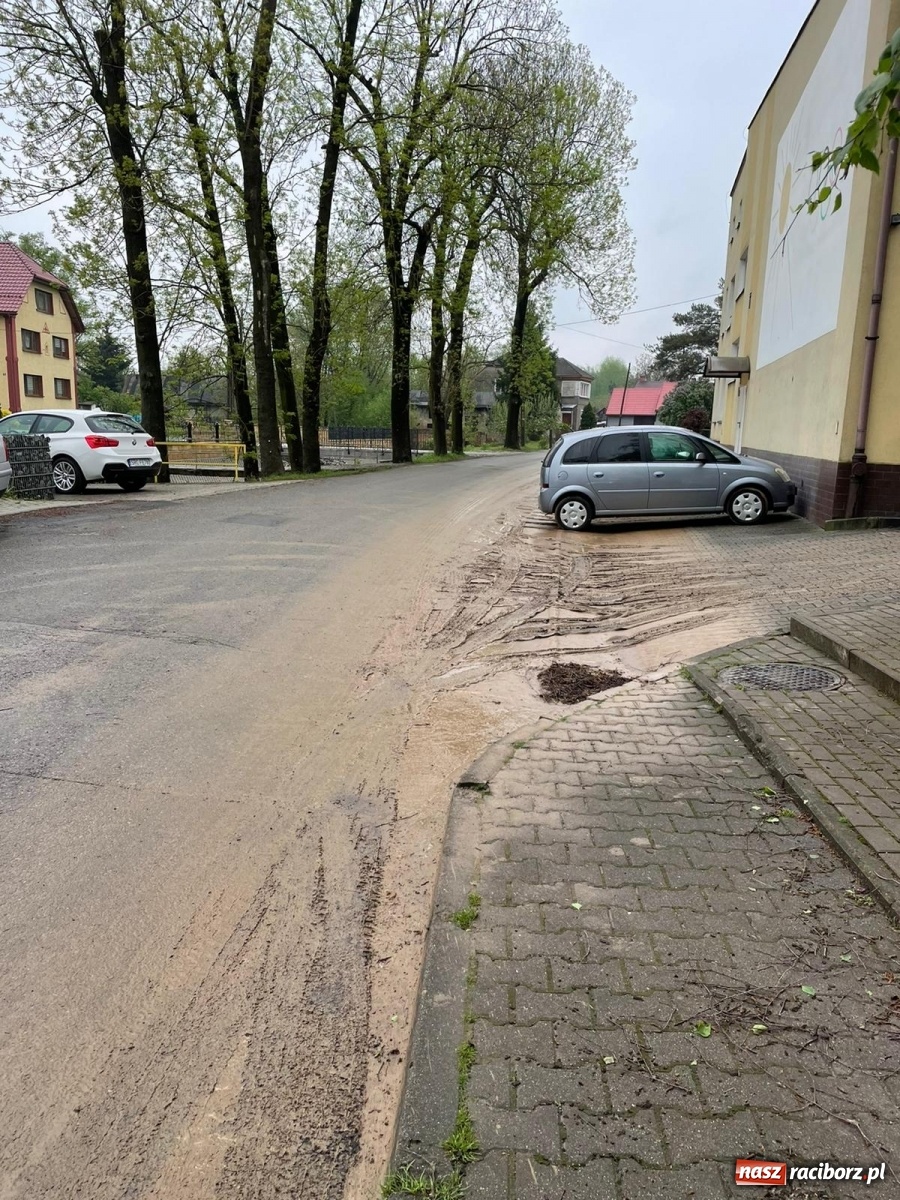 Zdjęcie w galerii na portalu naszraciborz.pl: Skutki burzy nad gminą Krzyżanowice [FOTO] wiadomości z regionu