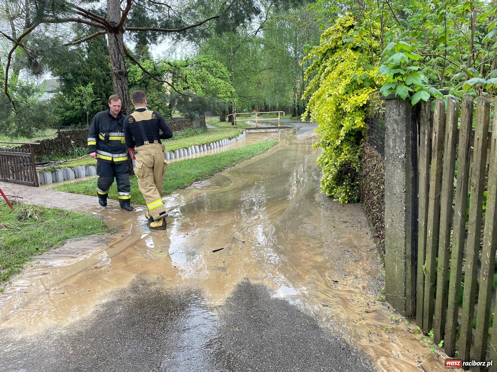 Zdjęcie w galerii na portalu naszraciborz.pl: Skutki burzy nad gminą Krzyżanowice [FOTO] wiadomości z regionu