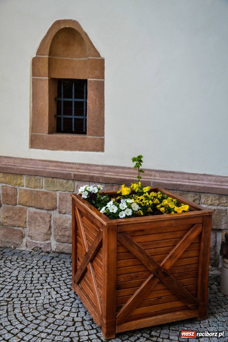 Zdjęcie w galerii na portalu naszraciborz.pl: Sadzonki drzewek ozdobią raciborski zamek wiadomości z regionu